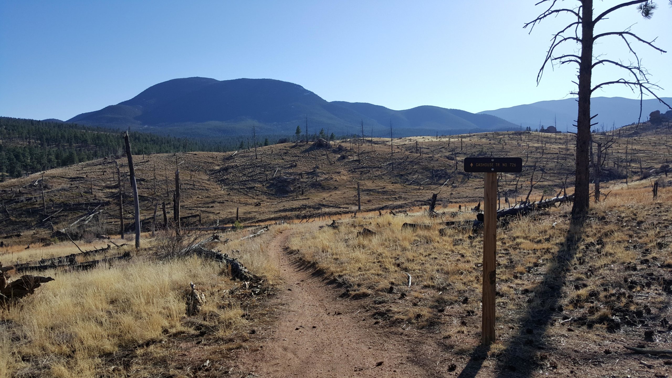 A dirt trail winds through a grassy landscape with patches of dried vegetation and scattered tree stumps. In the background, rolling mountains rise against a clear blue sky. A wooden sign on the right side of the image indicates "Gaskhouse Tr. No. 726." The scene captures a tranquil, rugged outdoor environment. Buffalo Creek mountain bike trail.