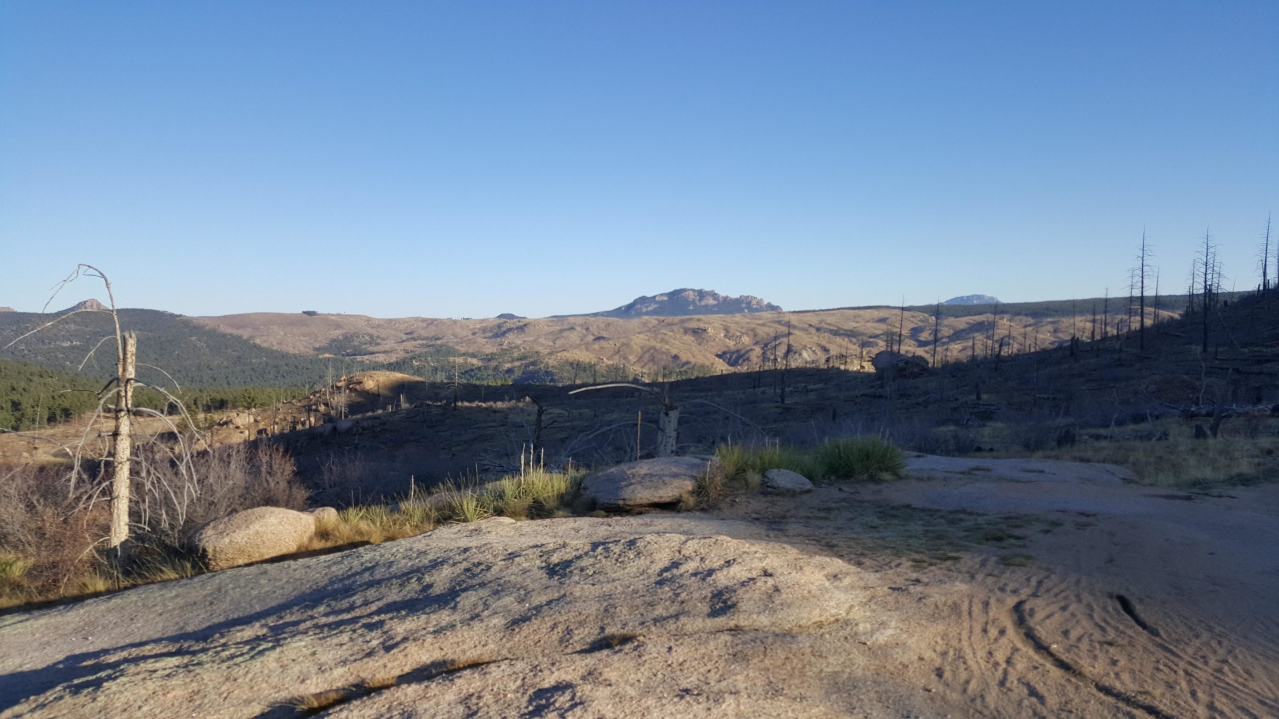 A panoramic view of a mountainous landscape under a clear blue sky. The foreground features rocky terrain with sparse vegetation, while the background showcases rolling hills and a prominent mountain peak. Some trees appear to be dead or burned, indicating previous environmental impact. Buffalo Creek mountain bike trail.