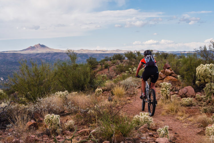 A person riding a mountain bike along a dirt trail in a desert landscape, with mountains in the distance and various desert plants, including cacti, visible along the path. The sky is partly cloudy, creating a dramatic backdrop.