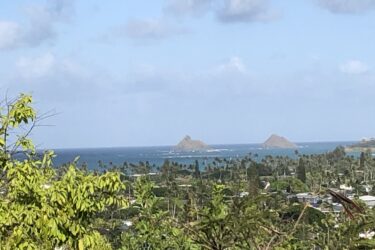A scenic view of the ocean featuring two small islands in the distance, surrounded by turquoise water. In the foreground, lush green foliage and palm trees dot the landscape, while a clear blue sky with scattered clouds complements the tropical setting. Kalaheo Hillside mountain bike trail.
