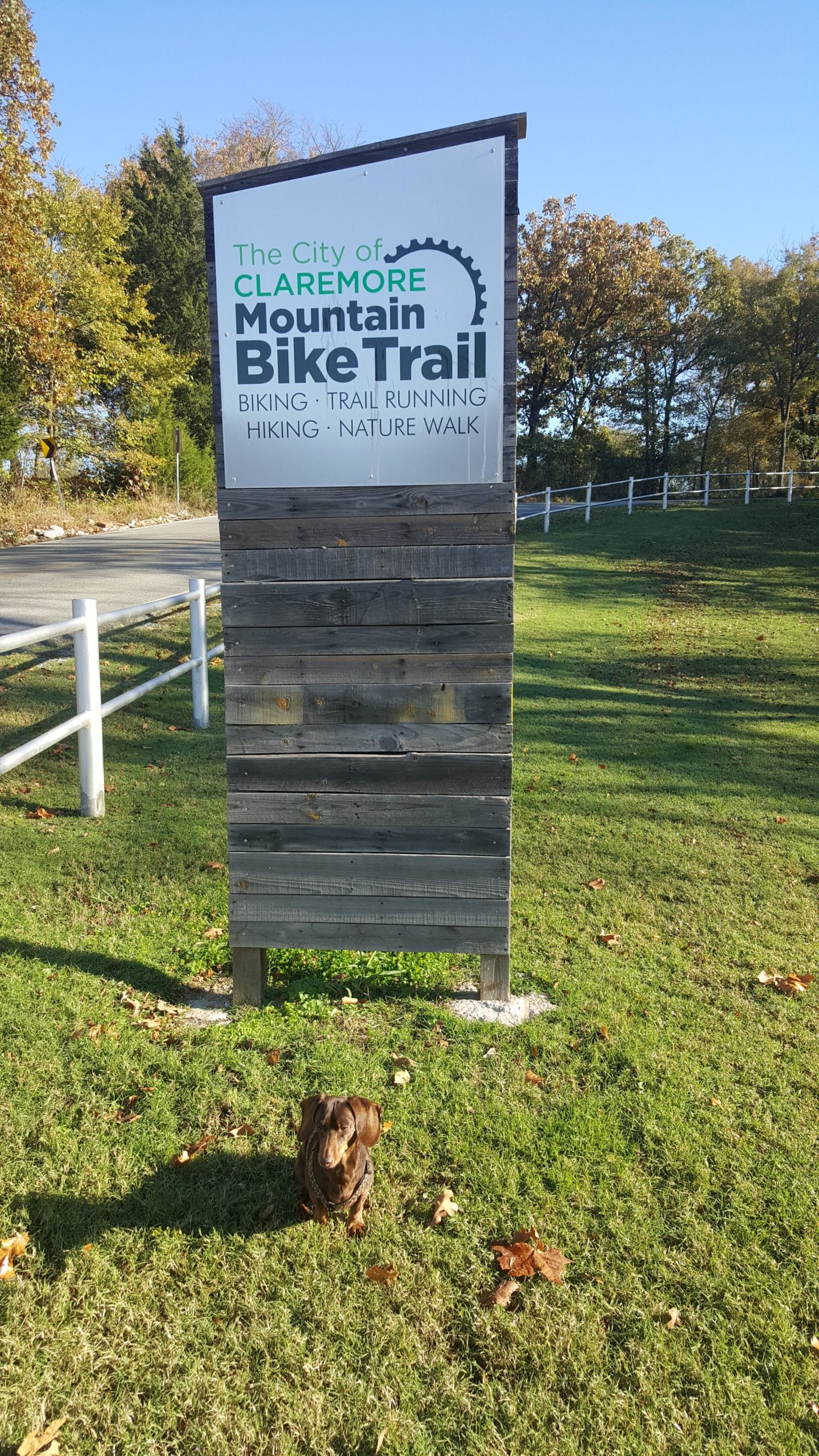 A small brown dog sitting on the grass in front of a sign for the Claremore Mountain Bike Trail. The sign displays information about various outdoor activities such as biking, trail running, hiking, and nature walks. The background features trees and a clear blue sky. Claremore mountain bike trail mountain bike trail.
