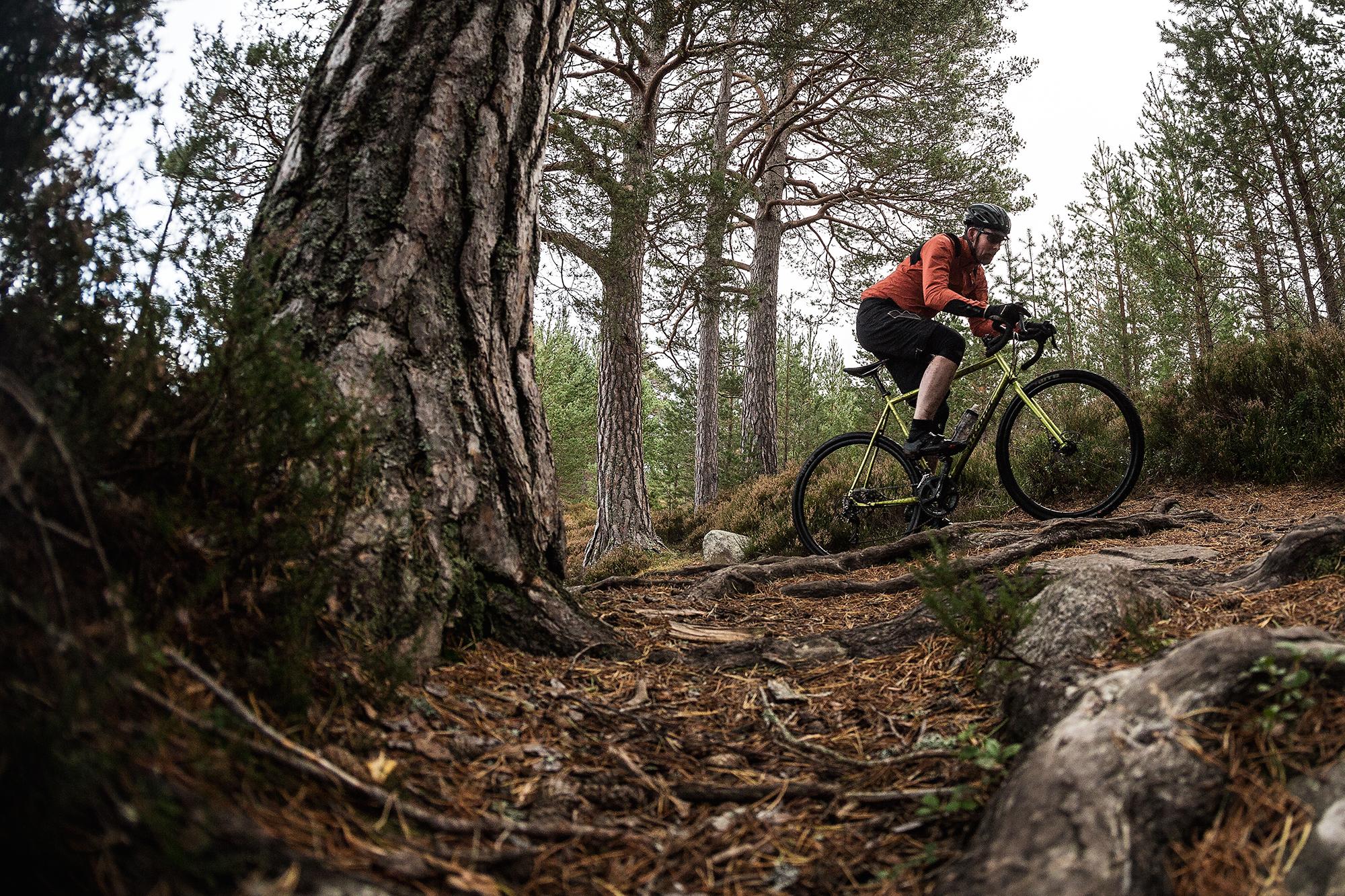 A person riding a bicycle on a rocky and root-covered dirt trail surrounded by tall trees in a forest setting. The cyclist is wearing a helmet and an orange jacket, focusing on navigating the terrain. Rothiemurchus Forest mountain bike trail.