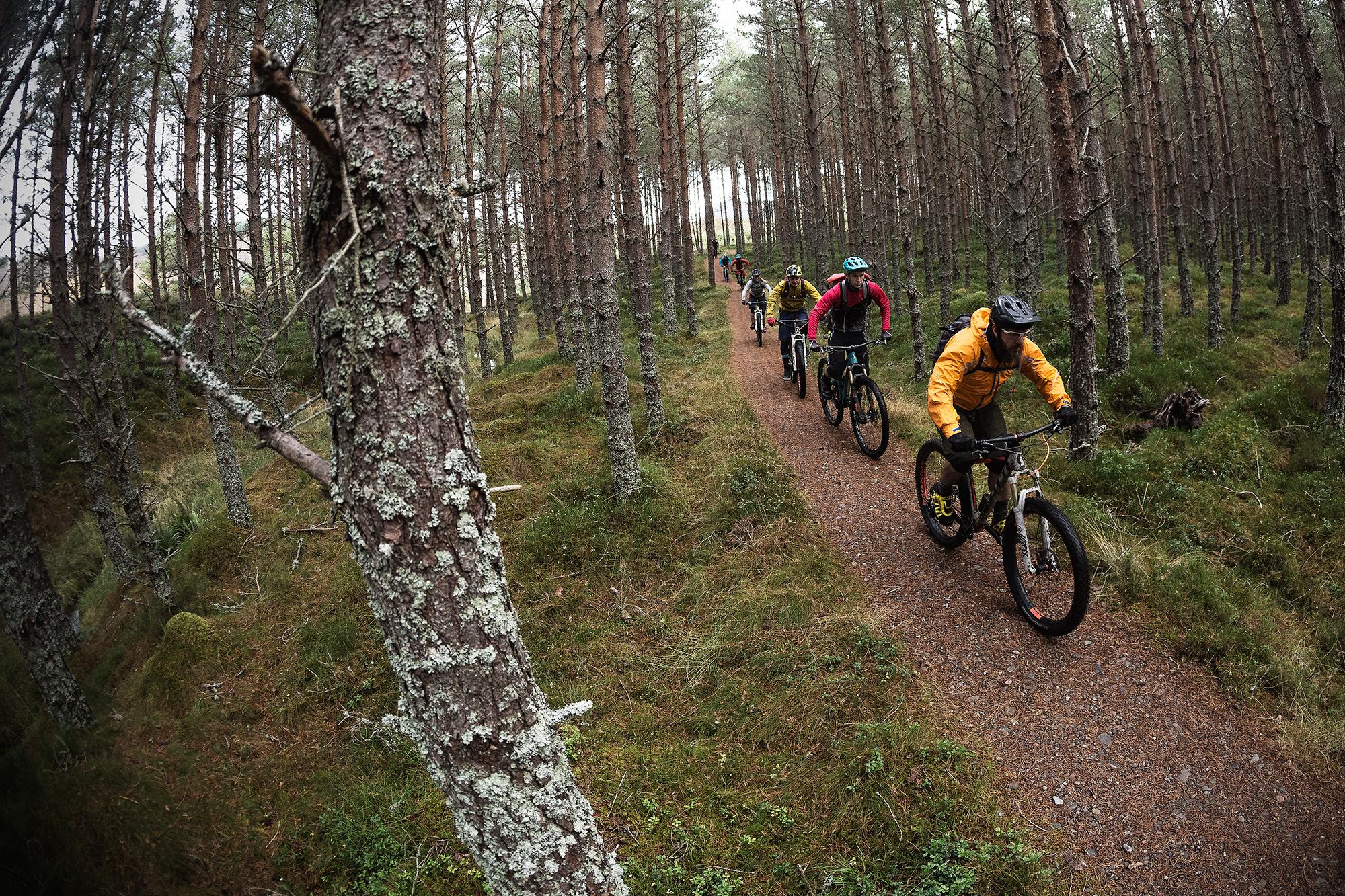 A group of mountain bikers riding along a winding dirt trail in a dense pine forest. The scene showcases tall trees with textured bark and patches of green moss on the ground, set against a cloudy sky. The riders are dressed in colorful outdoor gear, focused on navigating the trail. River Feshie Trail mountain bike trail.