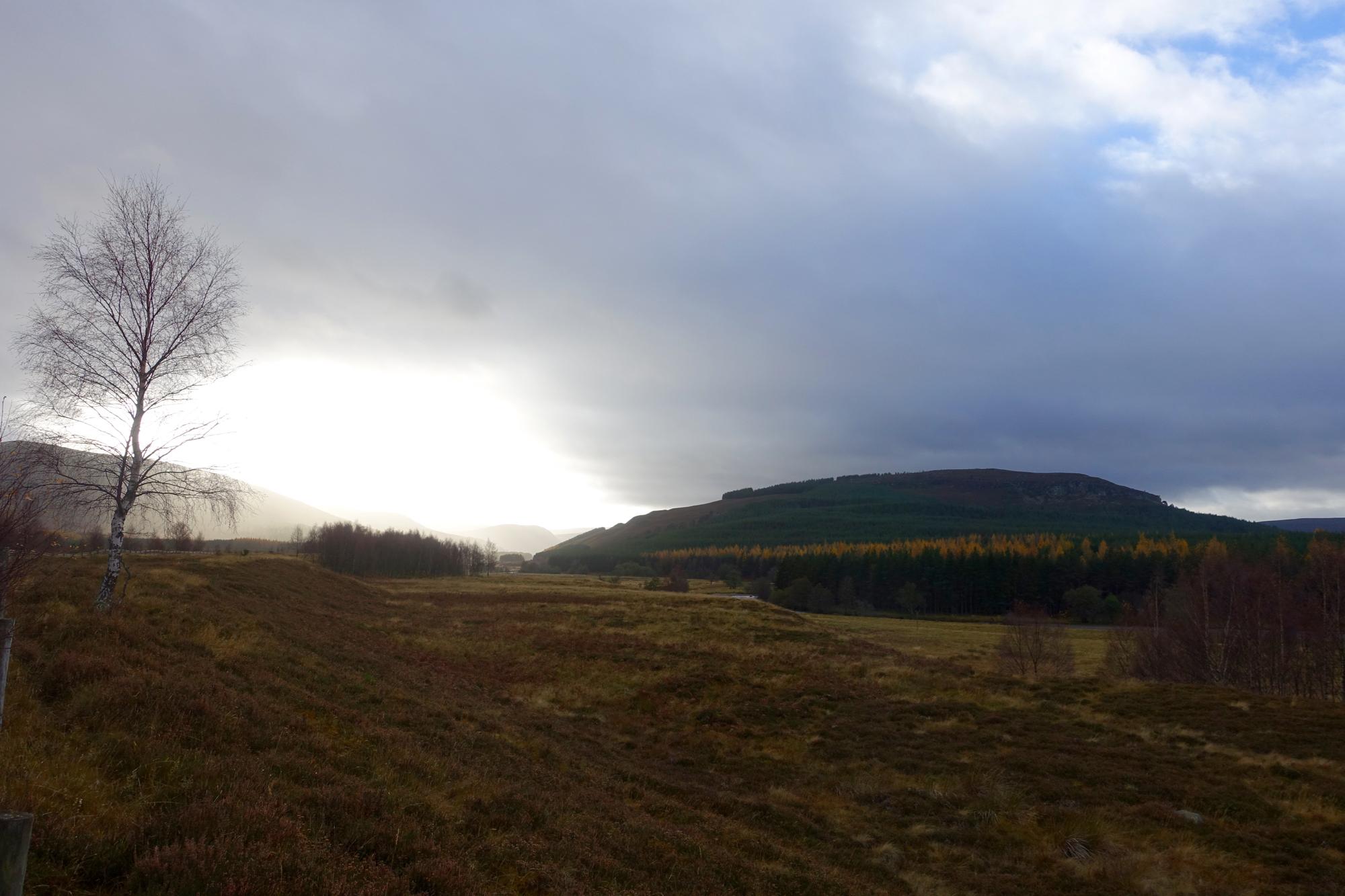 A panoramic view of a serene landscape featuring rolling hills, a field with autumn foliage, and a solitary birch tree on the left. The sky is partly cloudy, with sunlight breaking through the clouds in the background, casting a gentle glow over the scene. River Feshie Trail mountain bike trail.