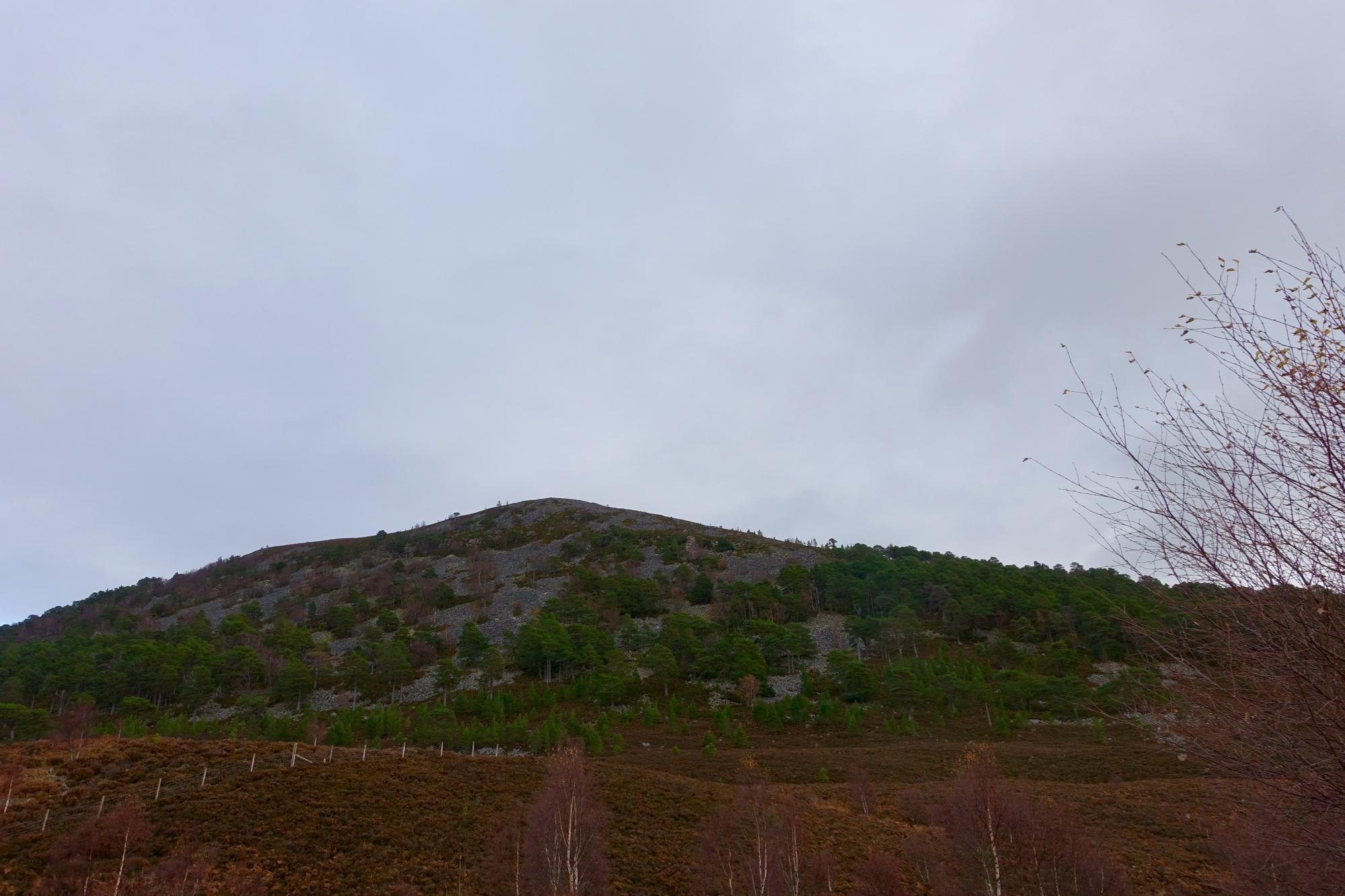 A scenic view of a hillside with a mix of greenery and rocky terrain under a cloudy sky. The foreground features low shrubs and sparse trees, while the slope of the hill is dotted with patches of forest. River Feshie Trail mountain bike trail.