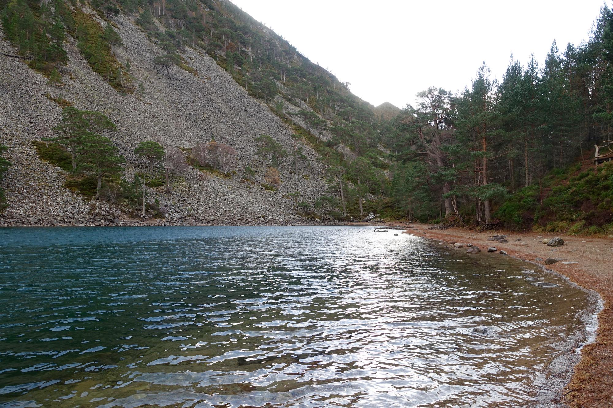 A serene lake surrounded by rugged, rocky hills and lush pine trees. The water reflects the soft light, creating a shimmering surface. A sandy shore lined with stones is visible in the foreground, adding to the tranquil natural setting. Rhyvoan Pass mountain bike trail.