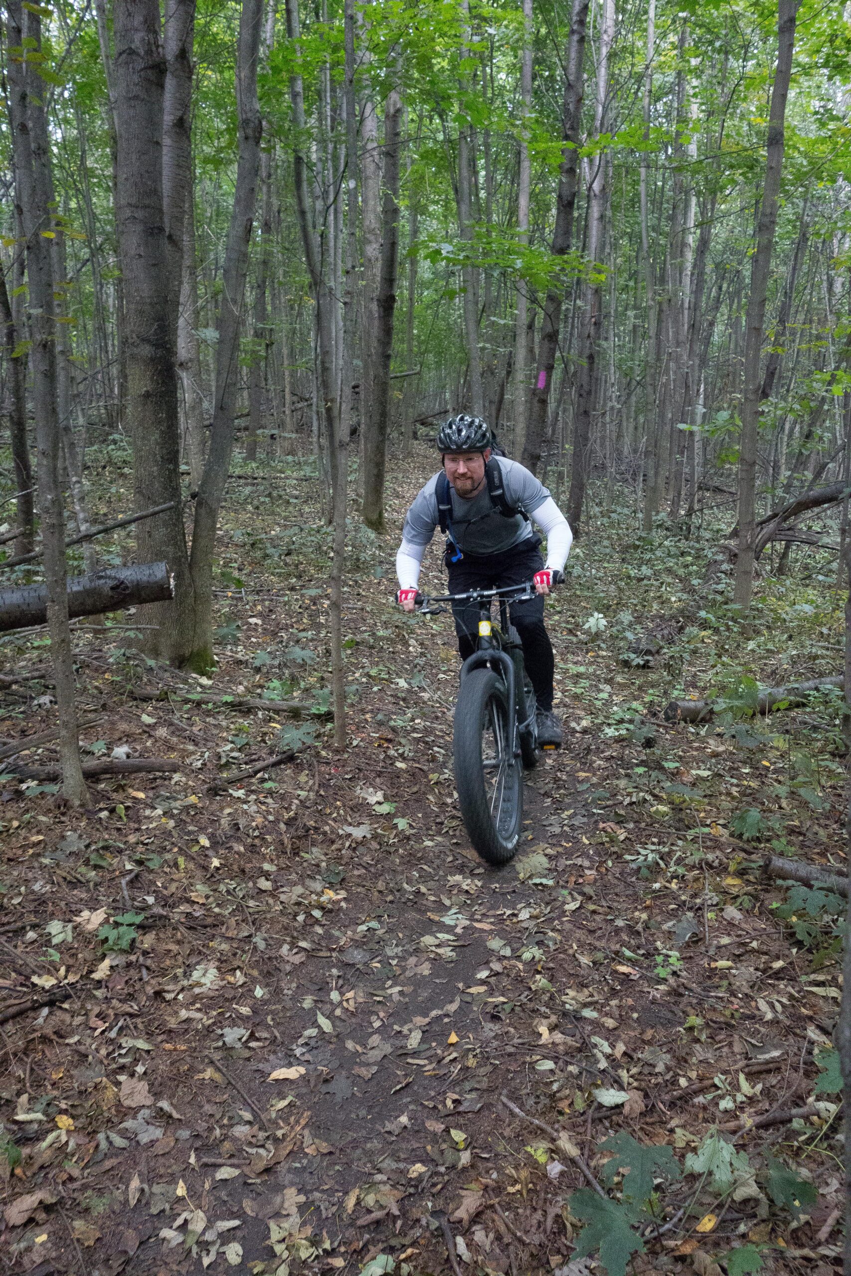 Framed Framed Wolftrax: A person riding a fat bike on a dirt trail surrounded by trees in a forested area, with fallen leaves on the ground and a few small branches scattered around. The individual is wearing a helmet and cycling gear, showing a focused expression as they navigate the trail.