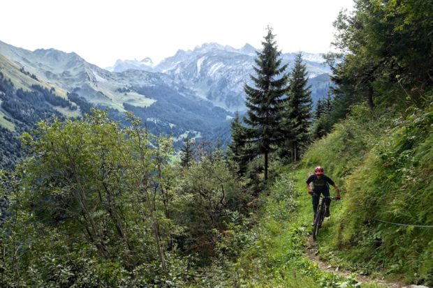 A mountain biker rides along a narrow trail surrounded by greenery, with stunning mountain peaks in the background. The scene captures the natural beauty of a forested landscape, highlighting the exhilarating experience of outdoor cycling.