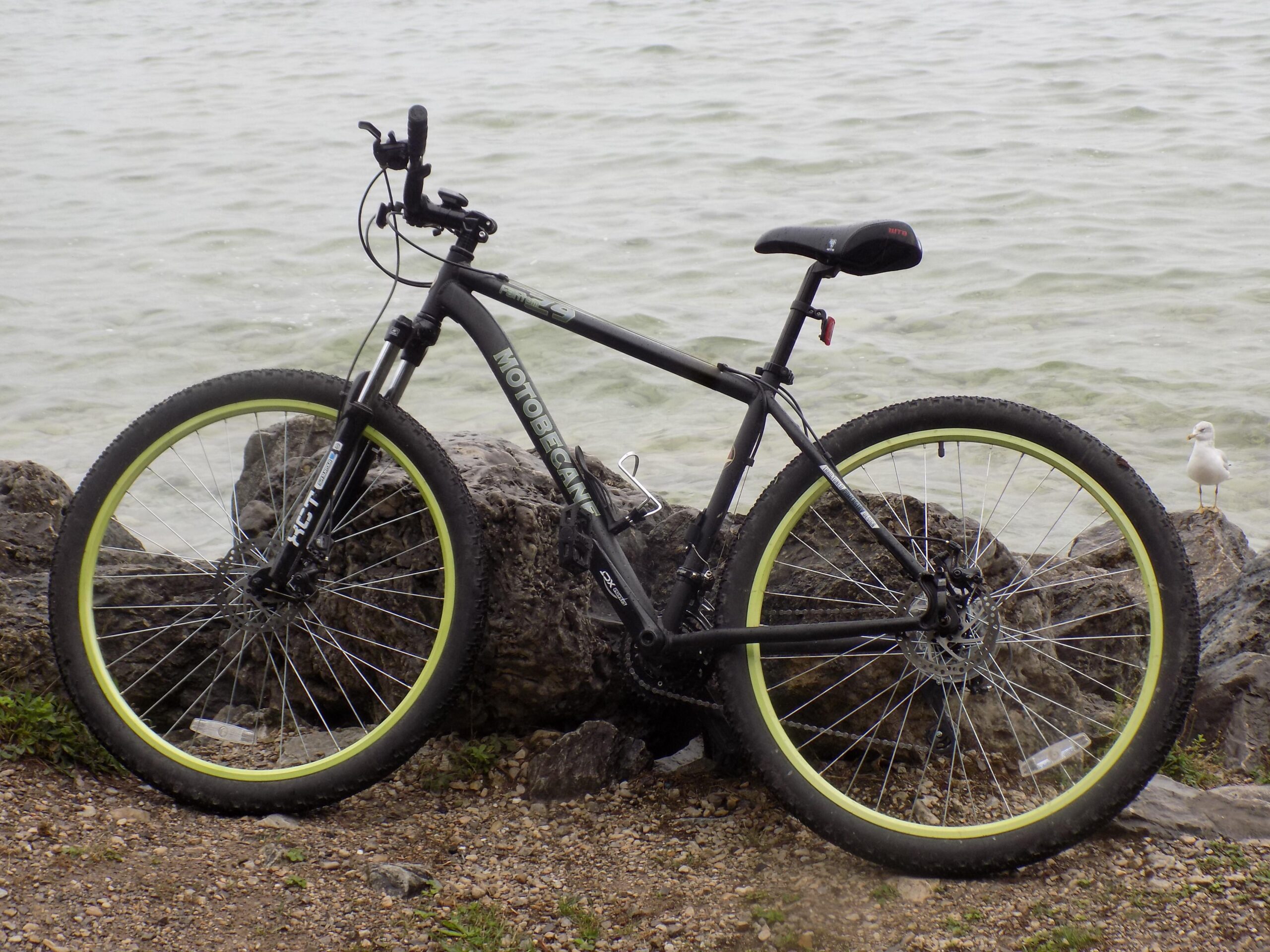 Motobecane Fantom29 Sport: A black mountain bike with yellow rims is leaning against a rocky shoreline. In the background, there is a body of water, and a small white bird is standing on a rock nearby.