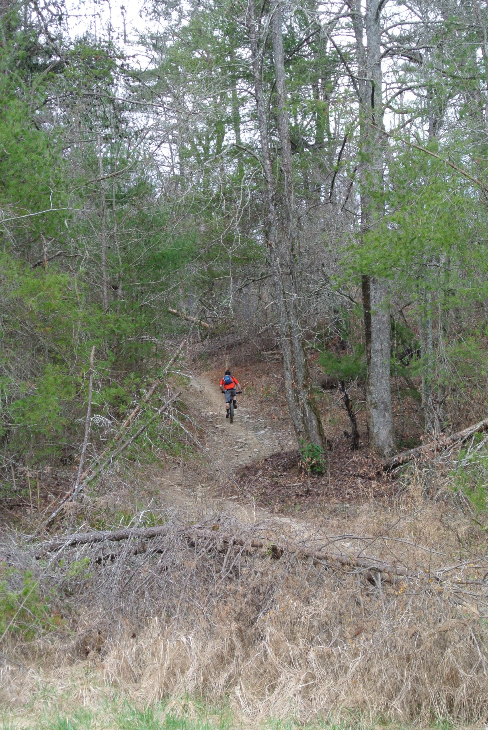 A mountain biker rides along a narrow dirt path surrounded by trees in a wooded area, with fallen branches and dry grass in the foreground. Bull / Jake Mountain mountain bike trail.