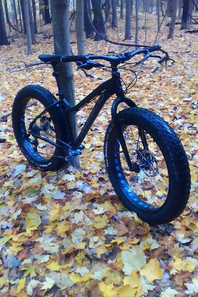 Norco Bigfoot: A black fat tire mountain bike resting on a bed of colorful autumn leaves in a wooded area. Trees are visible in the background, with a variety of leaf colors scattered across the ground.