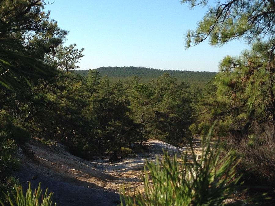 Trek 820: A serene landscape featuring a view through pine trees, revealing a distant ridge covered in greenery under a clear blue sky. The foreground includes sandy terrain and various shrubs, creating a natural and tranquil atmosphere.