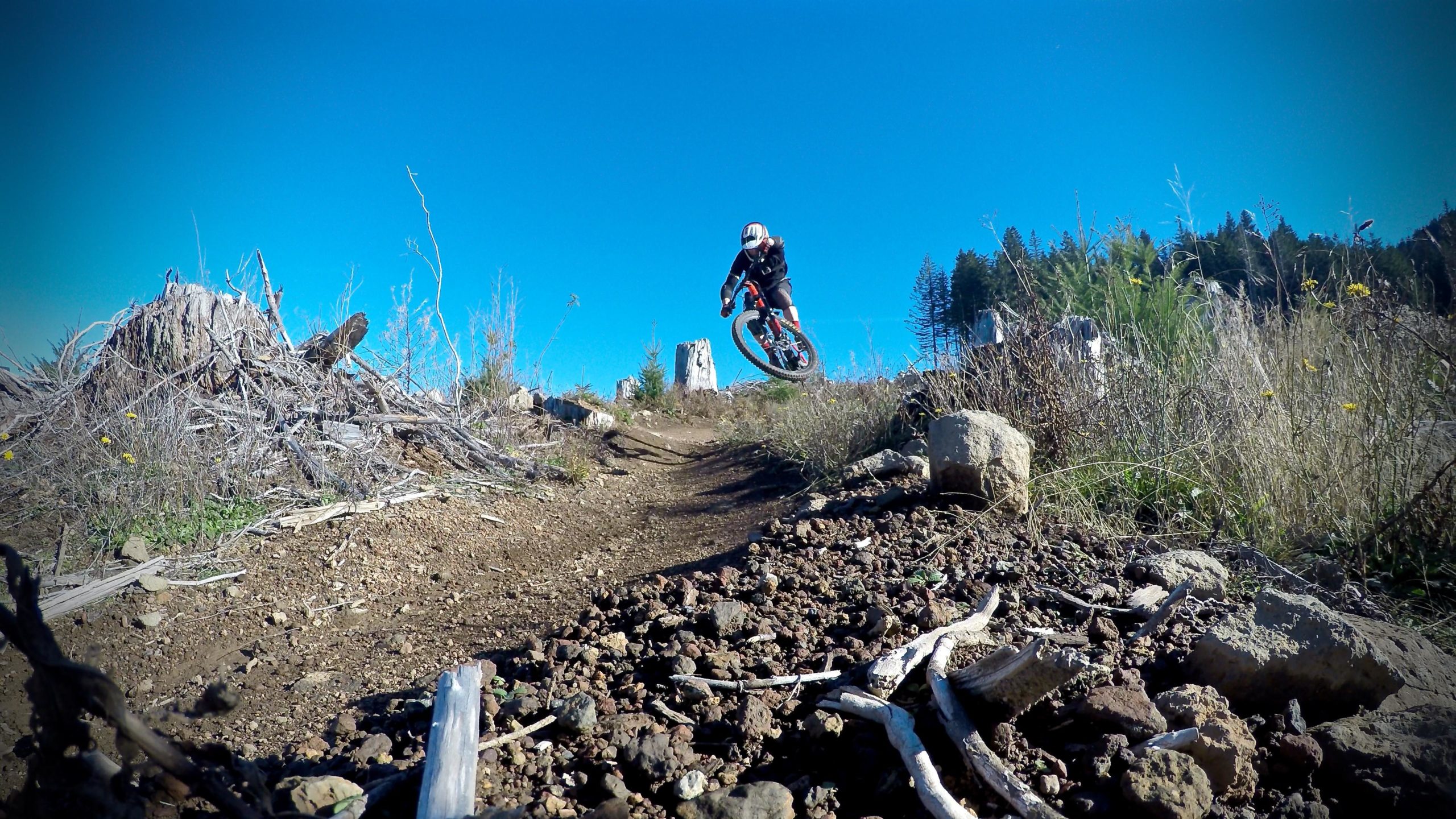 A mountain biker airborne over a dirt trail, surrounded by a woodland landscape with tree stumps and scattered rocks, under a clear blue sky. Cold Creek mountain bike trail.