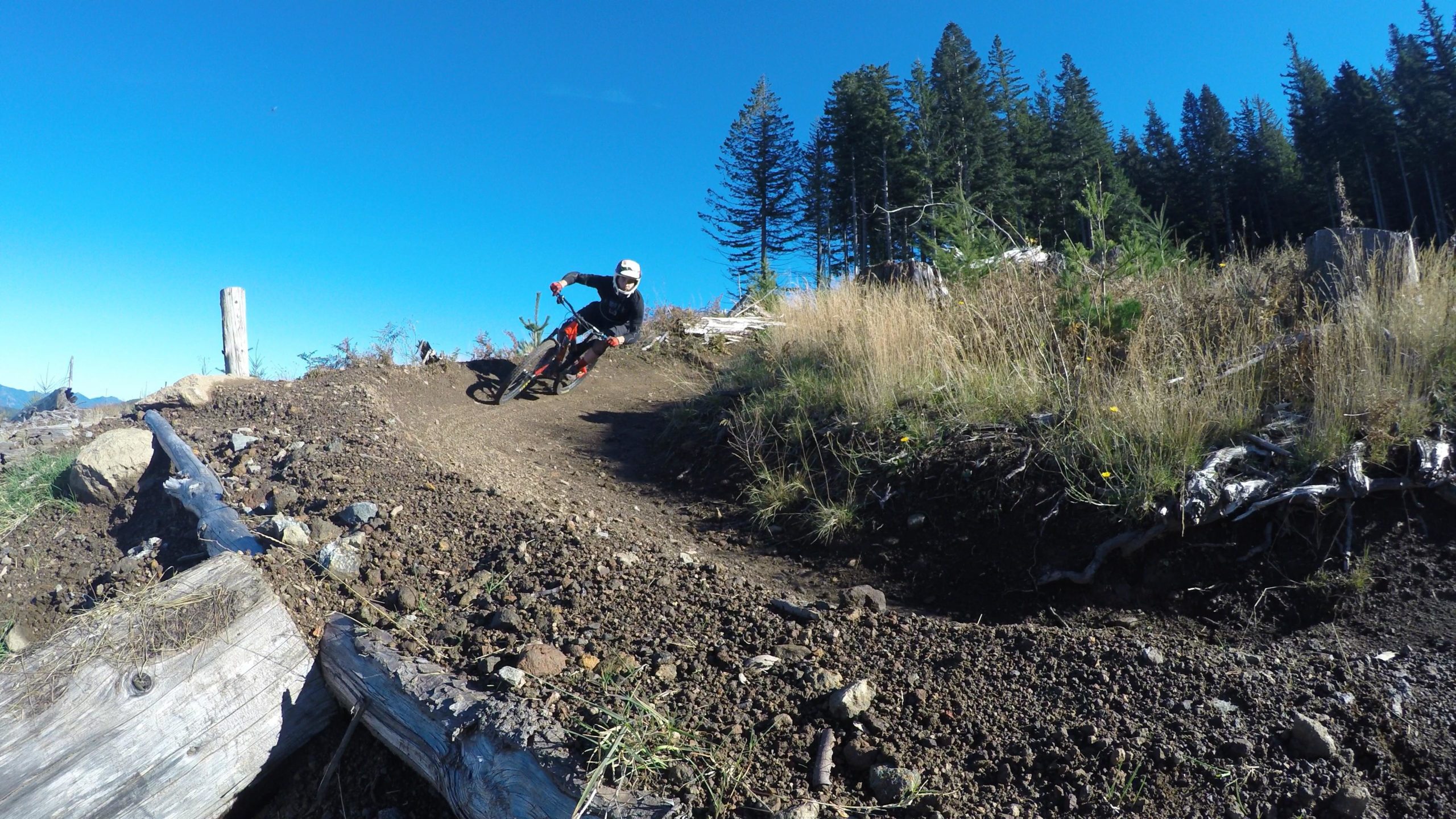 A mountain biker leans into a sharp turn on a dirt trail, surrounded by tall trees and a clear blue sky. The rider wears a helmet and protective gear, showcasing a dynamic action shot amidst a natural outdoor setting. Cold Creek mountain bike trail.