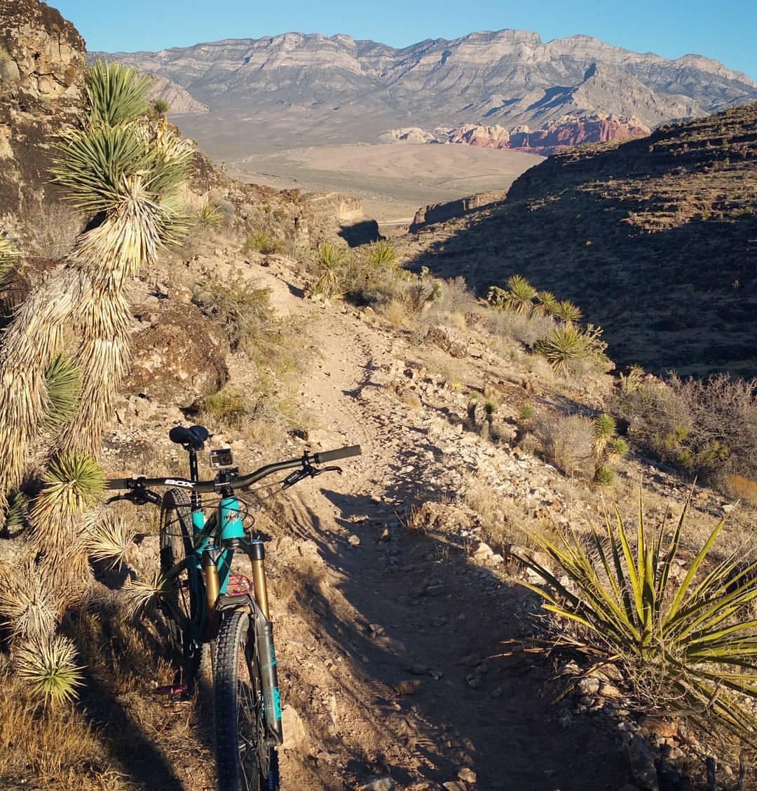 A mountain bike leaning against a rocky trail surrounded by desert vegetation, with a view of distant mountains and blue skies in the background. Cowboy Trails mountain bike trail.