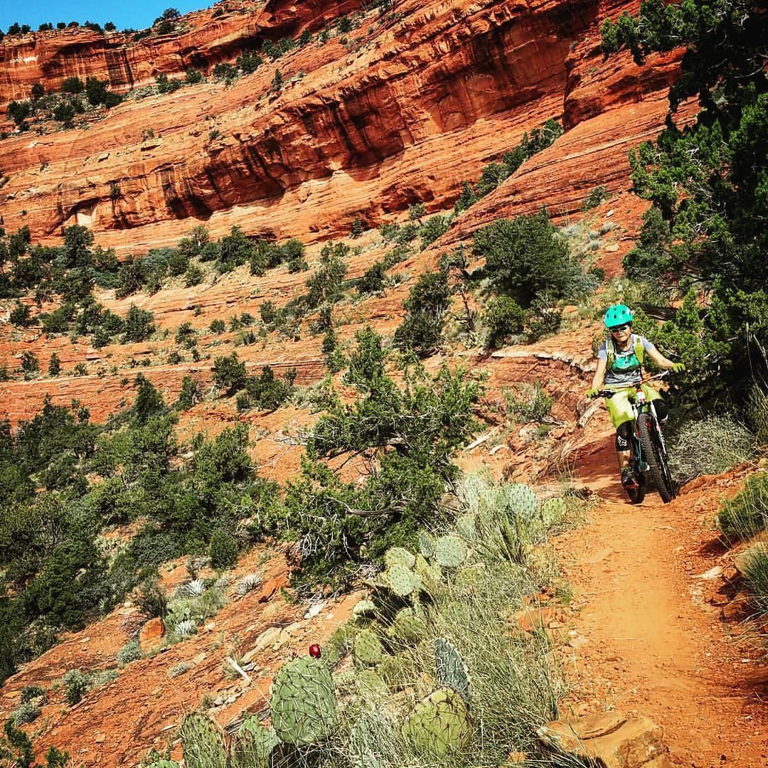 A child riding a mountain bike along a rocky trail, surrounded by vibrant red rock formations and green vegetation. Cacti and shrubs line the path, under a clear blue sky. Mescal Trail mountain bike trail.