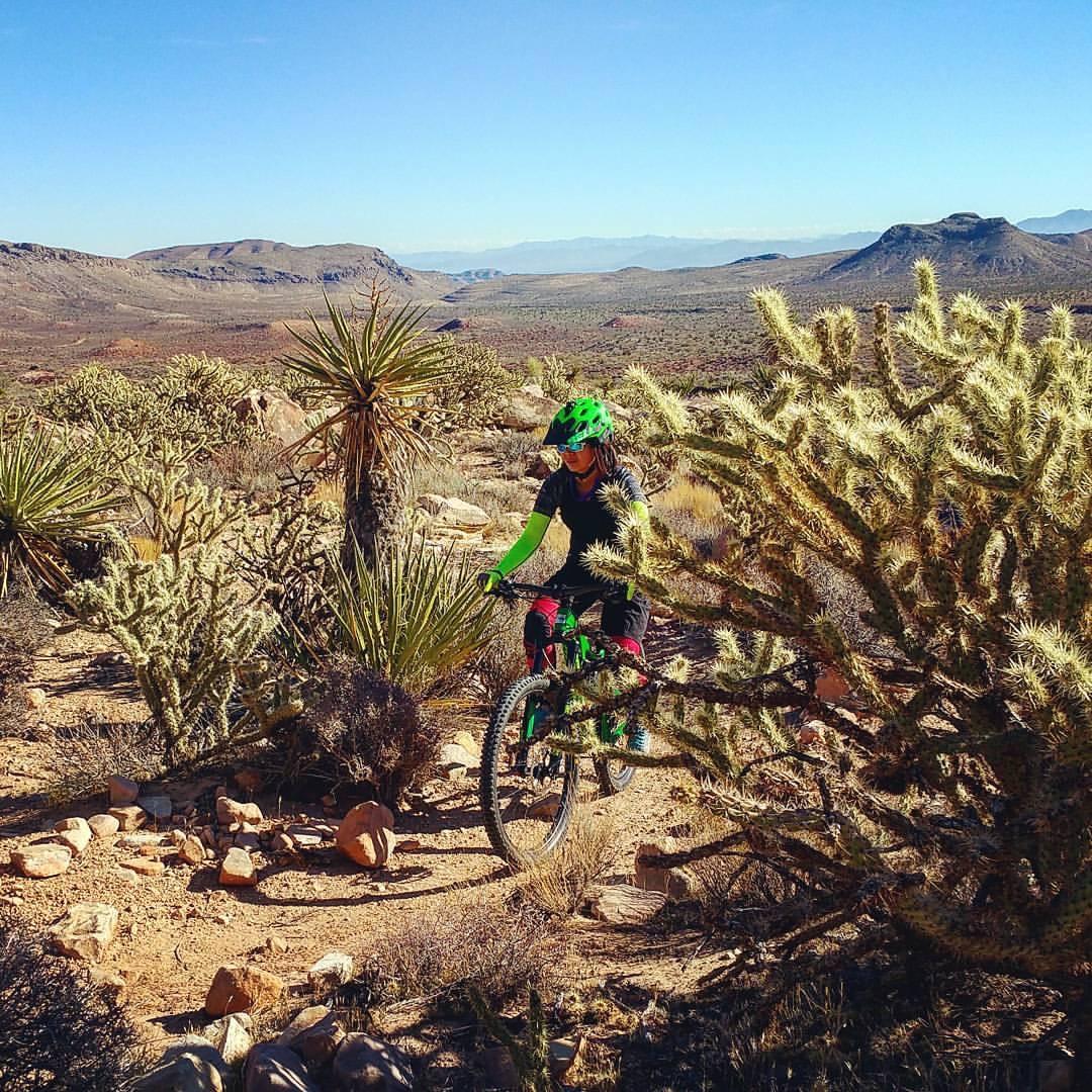 A person riding a mountain bike through a desert landscape with cacti and shrubs. The scene is set against a clear blue sky and distant mountains, highlighting the vastness of the arid environment. The rider is wearing a helmet and bright green arm sleeves. Cottonwood Valley North mountain bike trail.