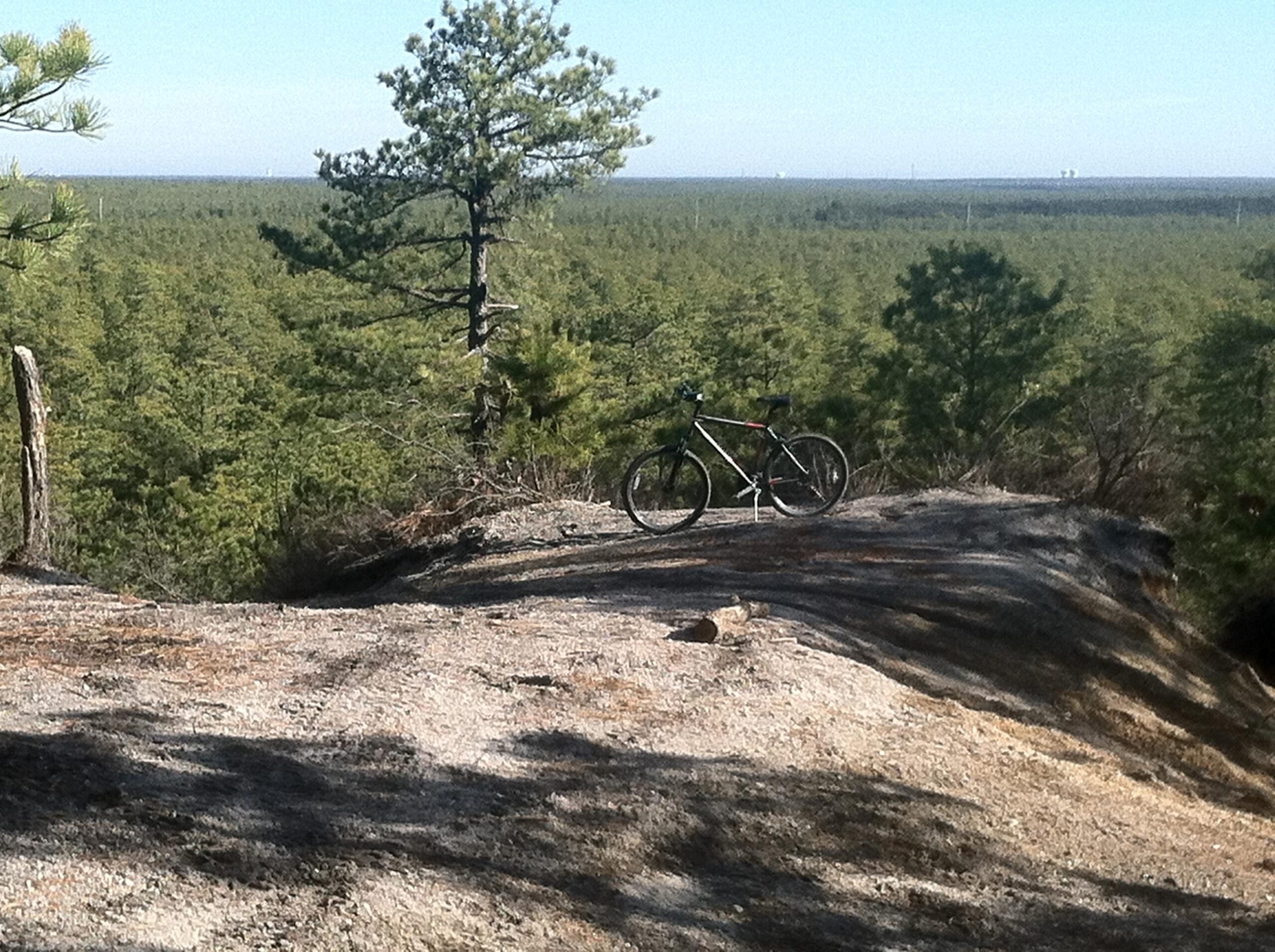 Trek 820: A mountain bike resting on a rocky ledge with a panoramic view of a dense forest landscape under a clear blue sky. The foreground features the bike on uneven terrain, while the background showcases rows of tall pine trees stretching into the distance.