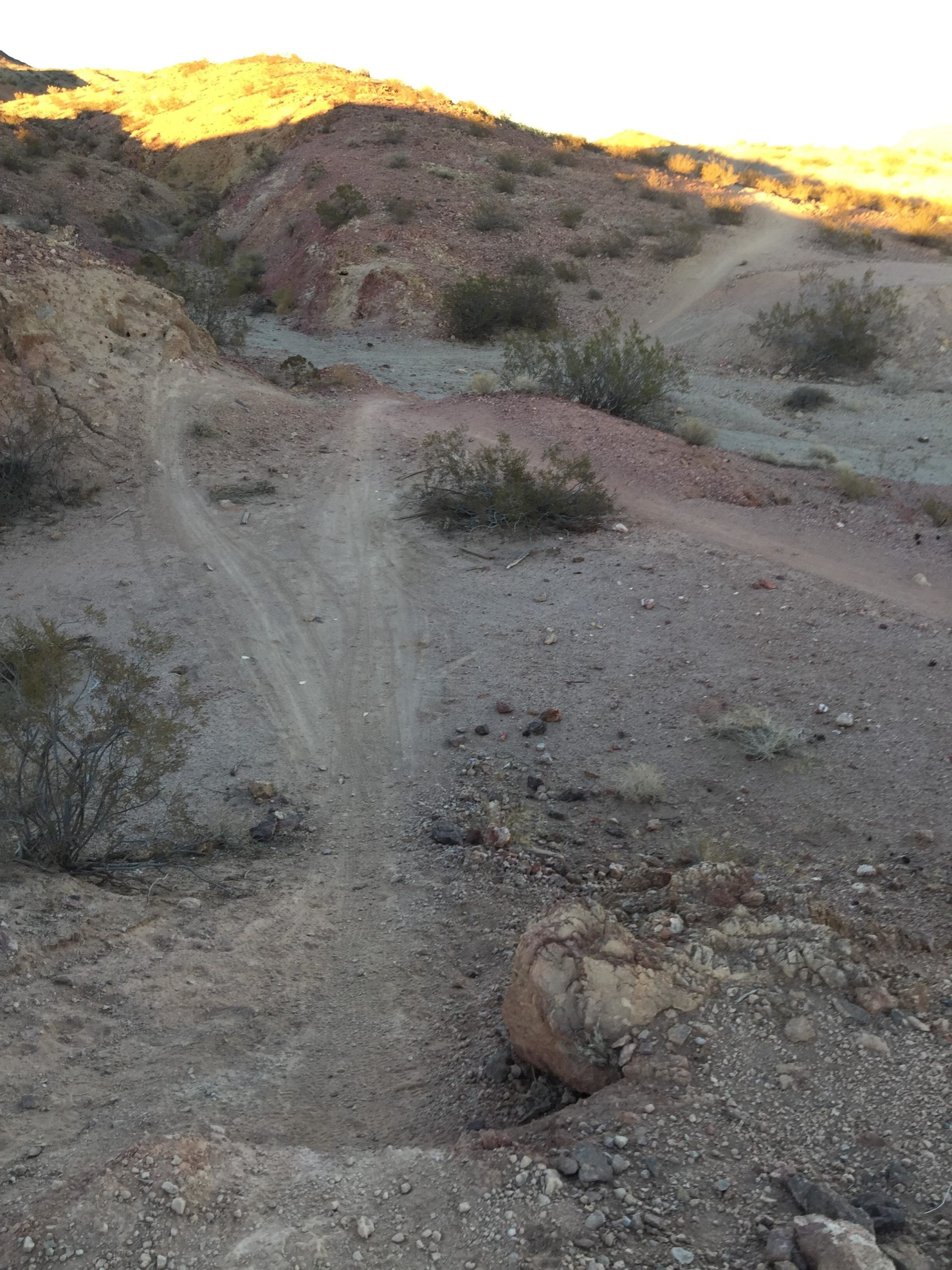 A winding dirt path leads through a rocky desert landscape with gentle hills and sparse vegetation. The sun casts a warm glow on the terrain, highlighting the rich colors of the earth and shrubs. Bootleg Canyon mountain bike trail.