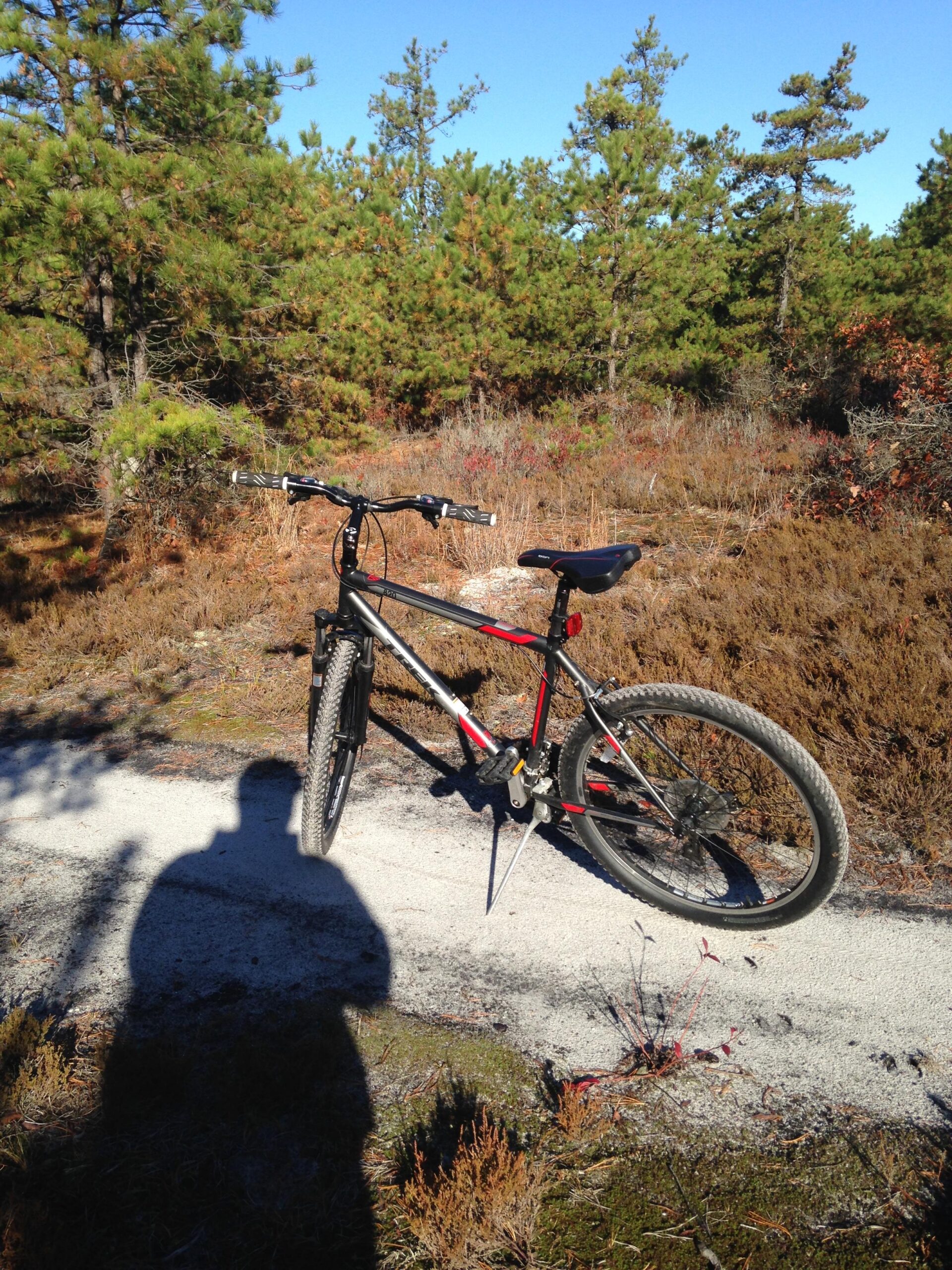 Trek 820: A mountain bike resting on a gravel path surrounded by green pine trees and shrubs, with a clear blue sky above. A shadow of a person is visible in the foreground.