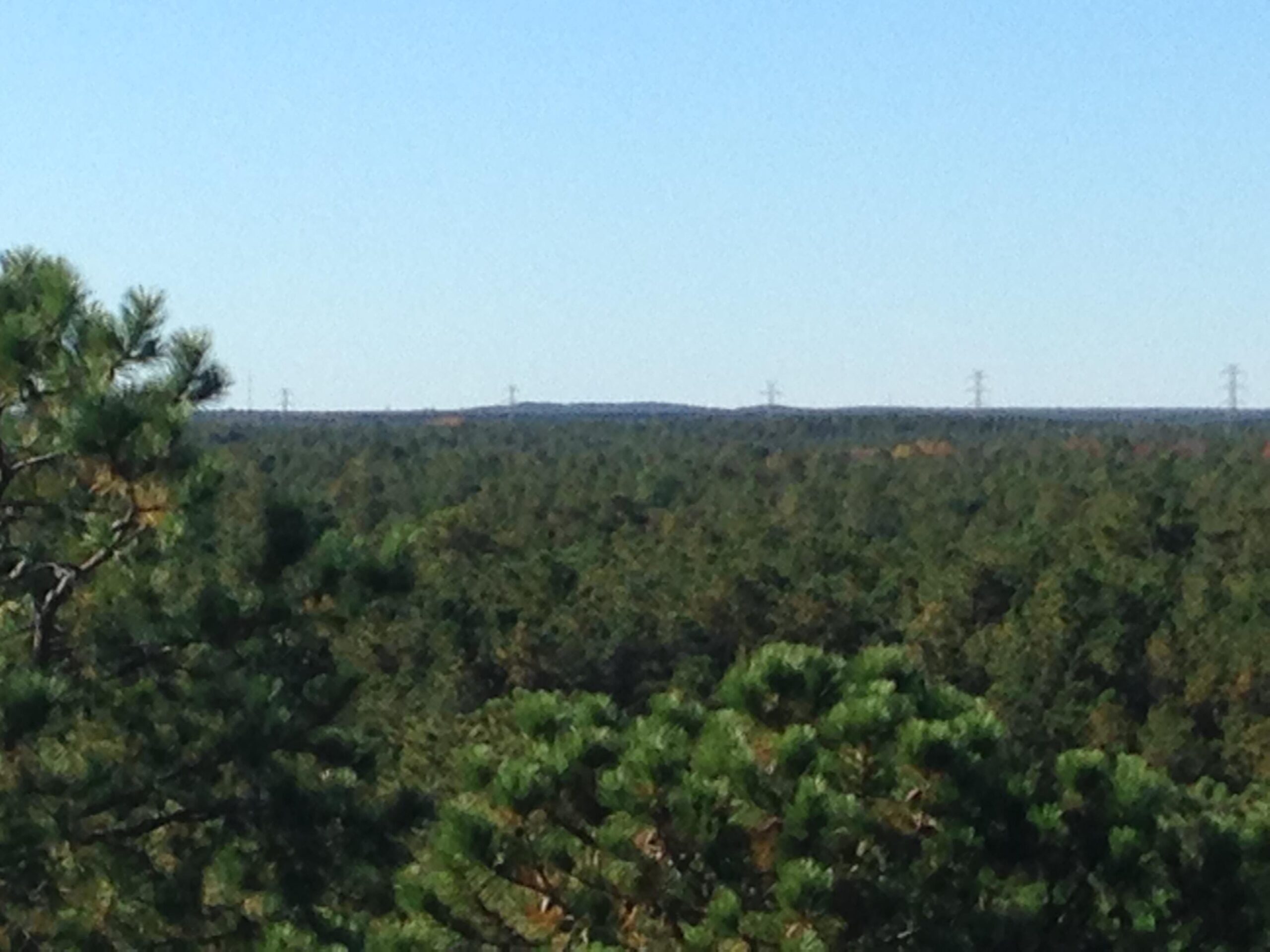 Trek 820: A panoramic view of a dense forest with lush green trees under a clear blue sky. In the distance, utility poles can be seen along the horizon, suggesting the presence of power lines. The foreground features the branches of pine trees, adding depth to the natural landscape.