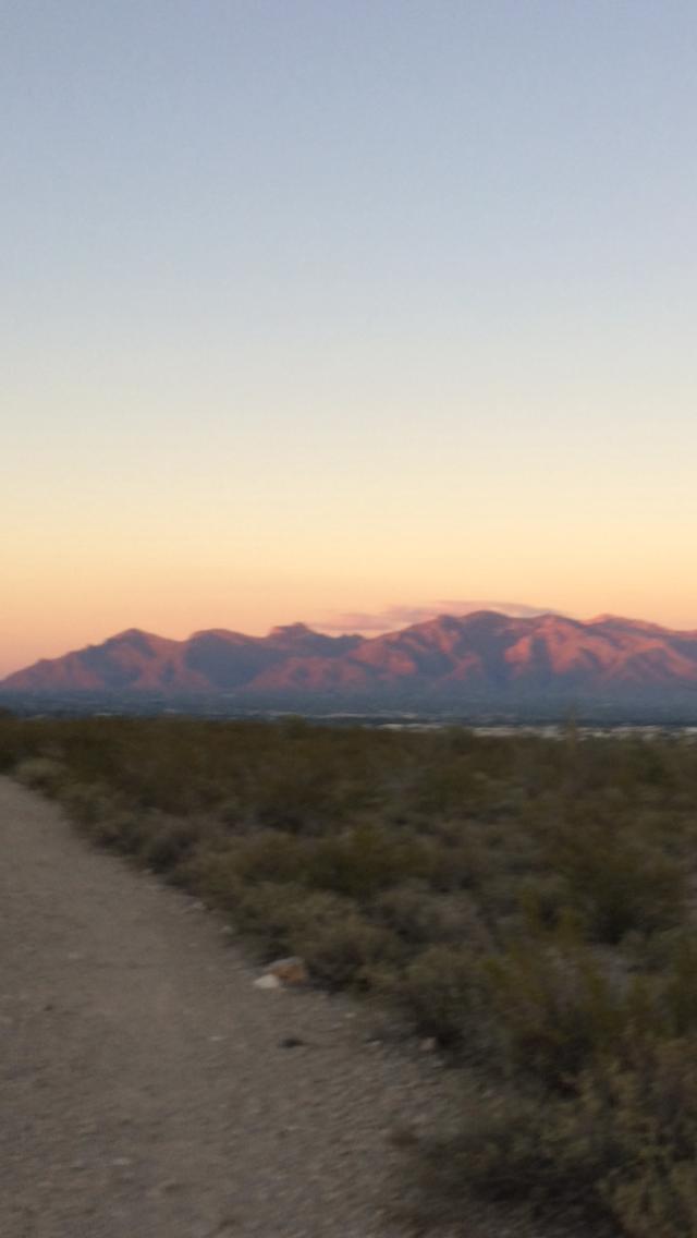 A scenic view of a mountain range at dusk, with soft pink and orange hues illuminating the peaks against a clear sky. A dirt path lined with sparse vegetation leads into the foreground, leading the viewer’s eye towards the mountains in the background. Tucson Mountain Park mountain bike trail.