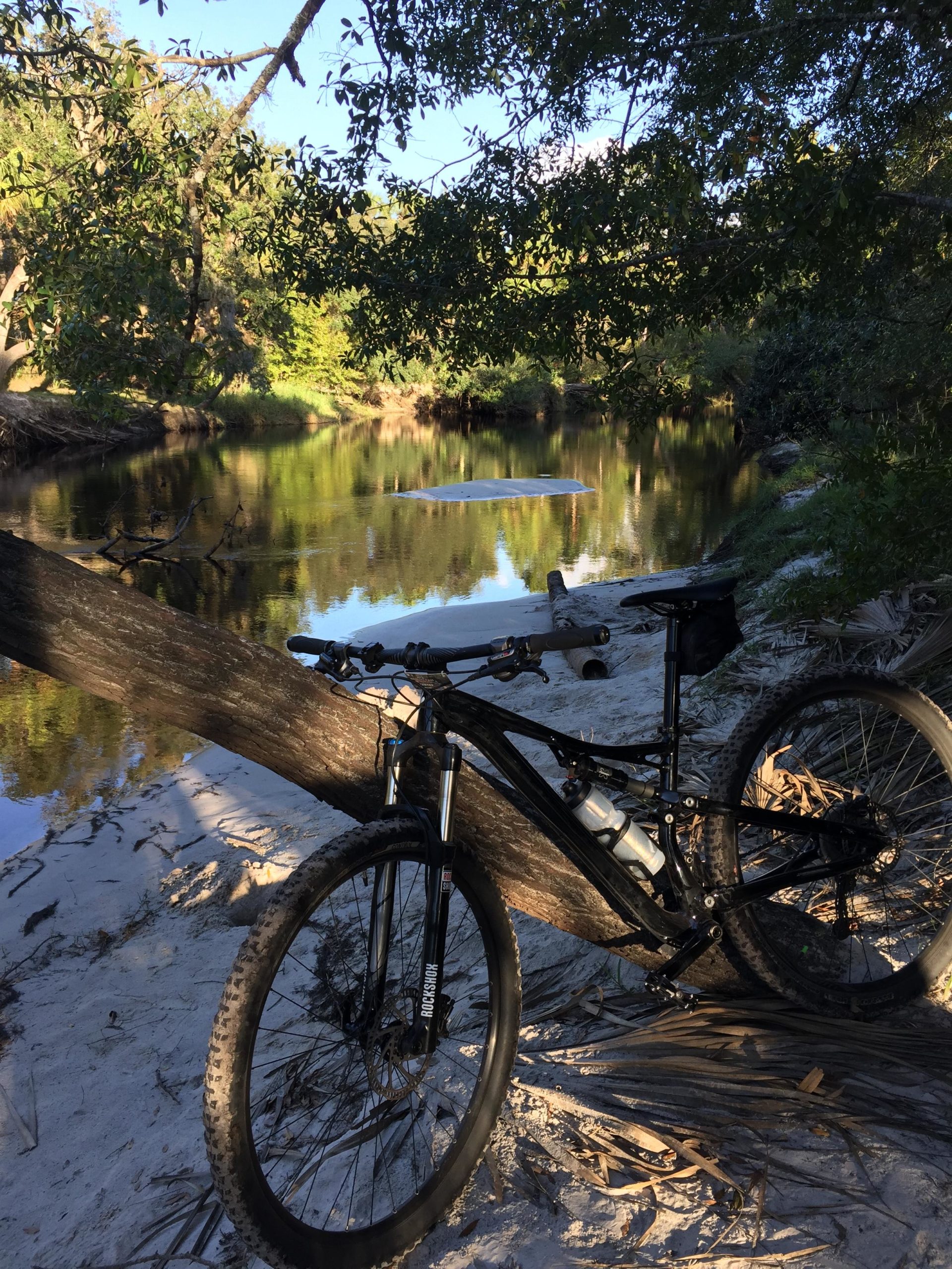 A black mountain bike resting against a fallen tree on the sandy bank of a serene river, surrounded by lush greenery and reflected sunlight. The scene captures a peaceful outdoor setting ideal for cycling and nature. Little Big Econ State Forest mountain bike trail.