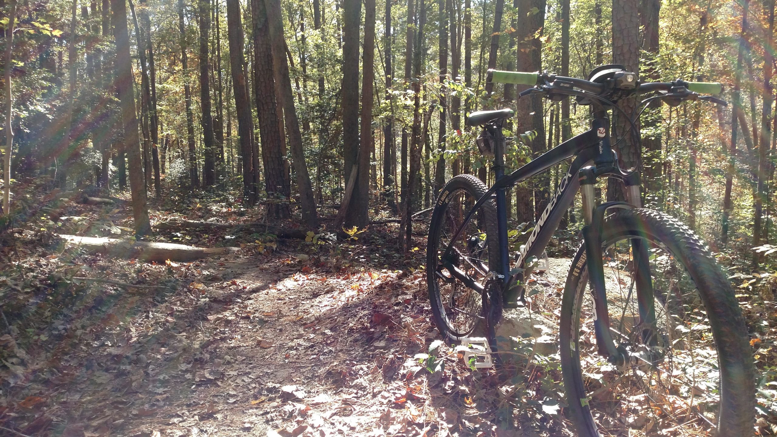 A mountain bike positioned on a wooded trail in autumn, surrounded by tall trees and colorful fall foliage. Sunlight filters through the trees, casting a warm glow on the scene, highlighting the bike's features and the textured ground covered with leaves. San-lee Park mountain bike trail.