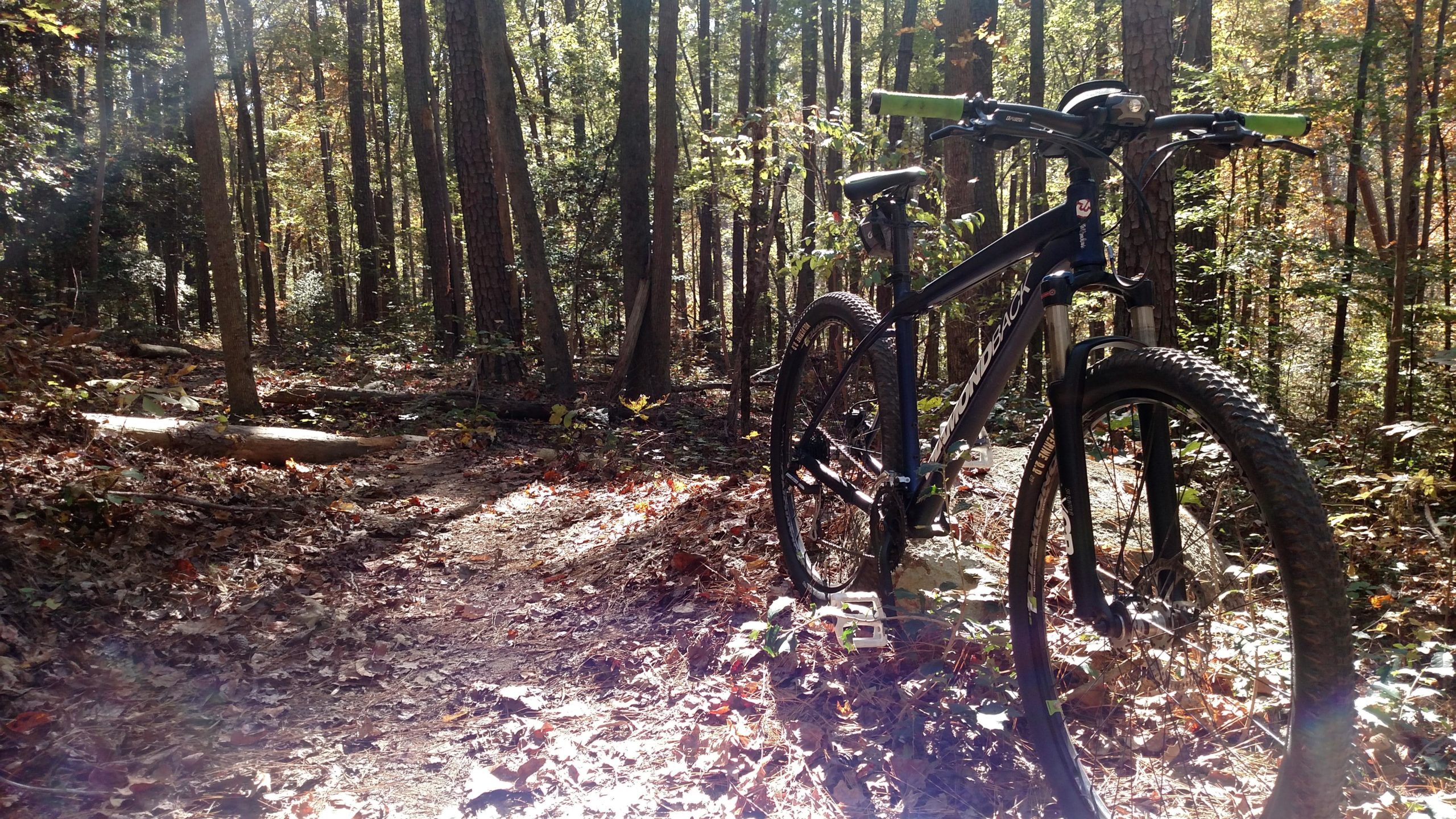 A mountain bike is positioned on a dirt trail surrounded by tall trees and autumn foliage, with sunlight filtering through the leaves. The ground is covered in fallen leaves, creating a serene and picturesque outdoor scene. San-lee Park mountain bike trail.