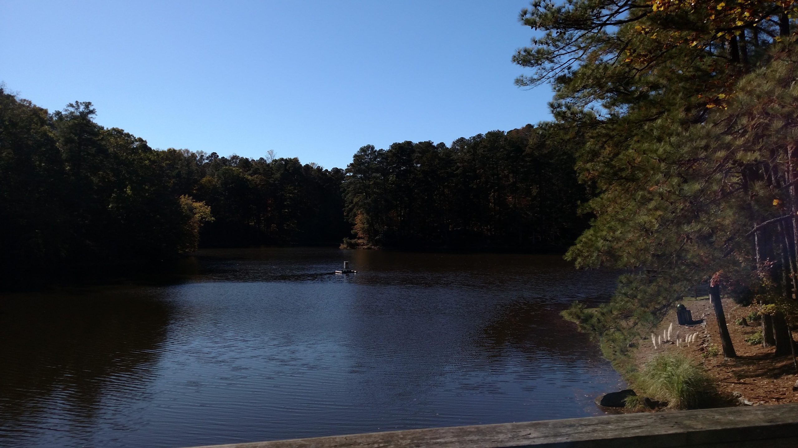 A serene view of a calm lake surrounded by trees under a clear blue sky. A small boat is visible on the water, creating gentle ripples. The shoreline features grassy areas and items arranged neatly, contributing to the peaceful natural setting. San-lee Park mountain bike trail.