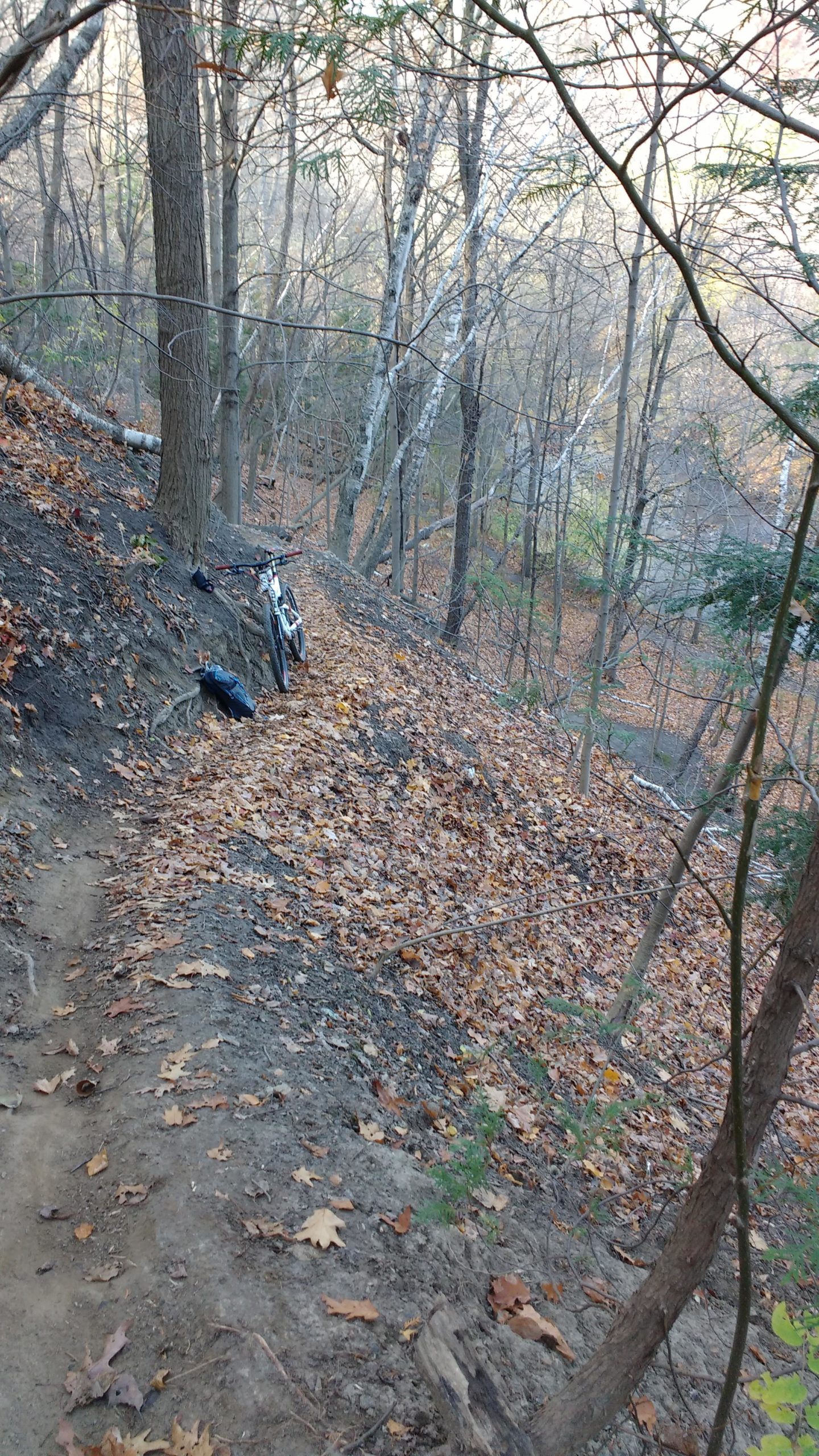 A mountain bike rests on a leaf-covered trail surrounded by trees in a wooded area during autumn. The ground is a mix of dirt and fallen leaves, with a sloped path leading downwards. Soft sunlight filters through the branches, creating a serene atmosphere. Don Valley mountain bike trail.