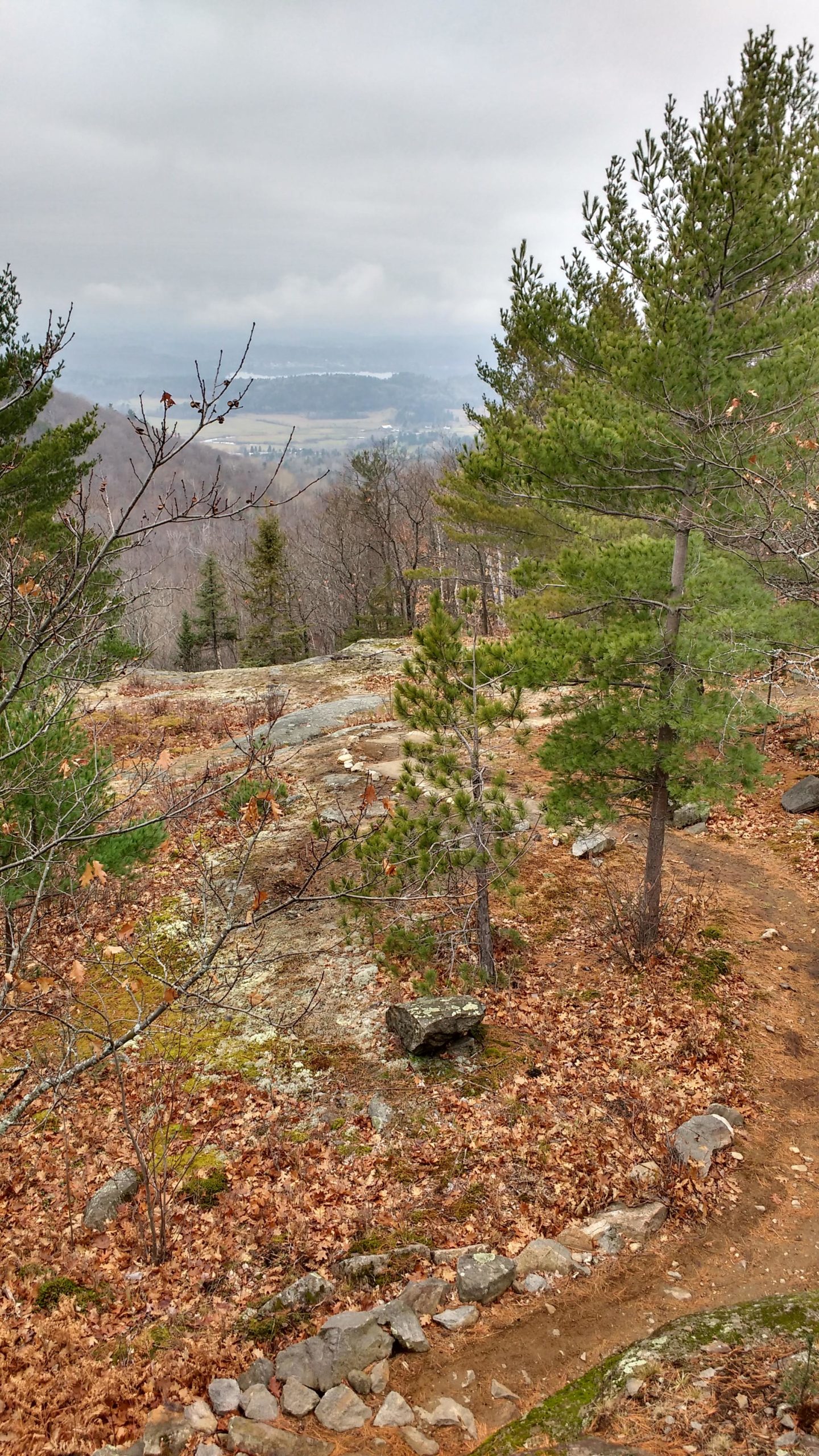 A scenic view from a rocky hillside, featuring a forested area with coniferous trees and scattered autumn leaves. In the background, a valley can be seen under a cloudy sky, with hints of farmland and a winding river. A dirt trail meanders through the foreground, surrounded by rocks and fallen foliage. Taylors Tower of Power (TToP) mountain bike trail.