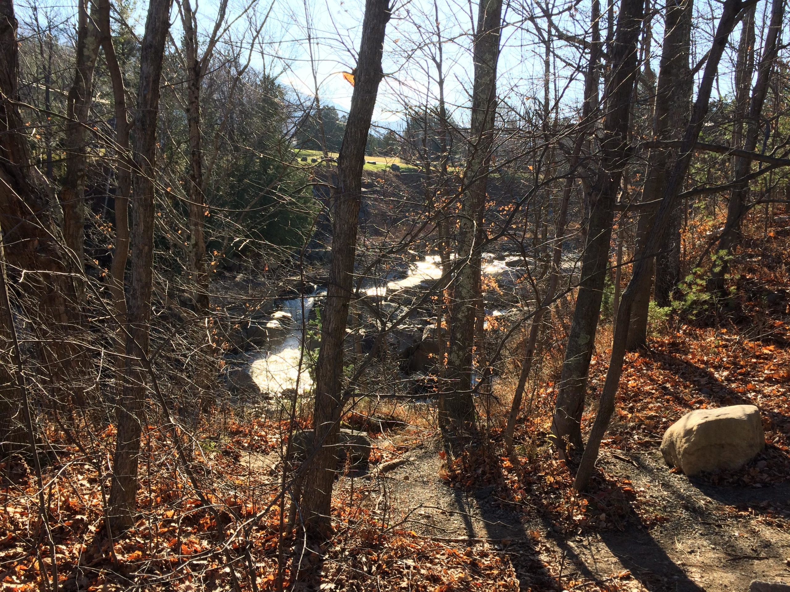 A serene view of a winding creek surrounded by bare trees and autumn foliage. The sunlight filters through the branches, casting shadows on the ground, while a large boulder sits beside the trail. In the background, hints of greenery are visible on the opposite bank. Flume Trails mountain bike trail.