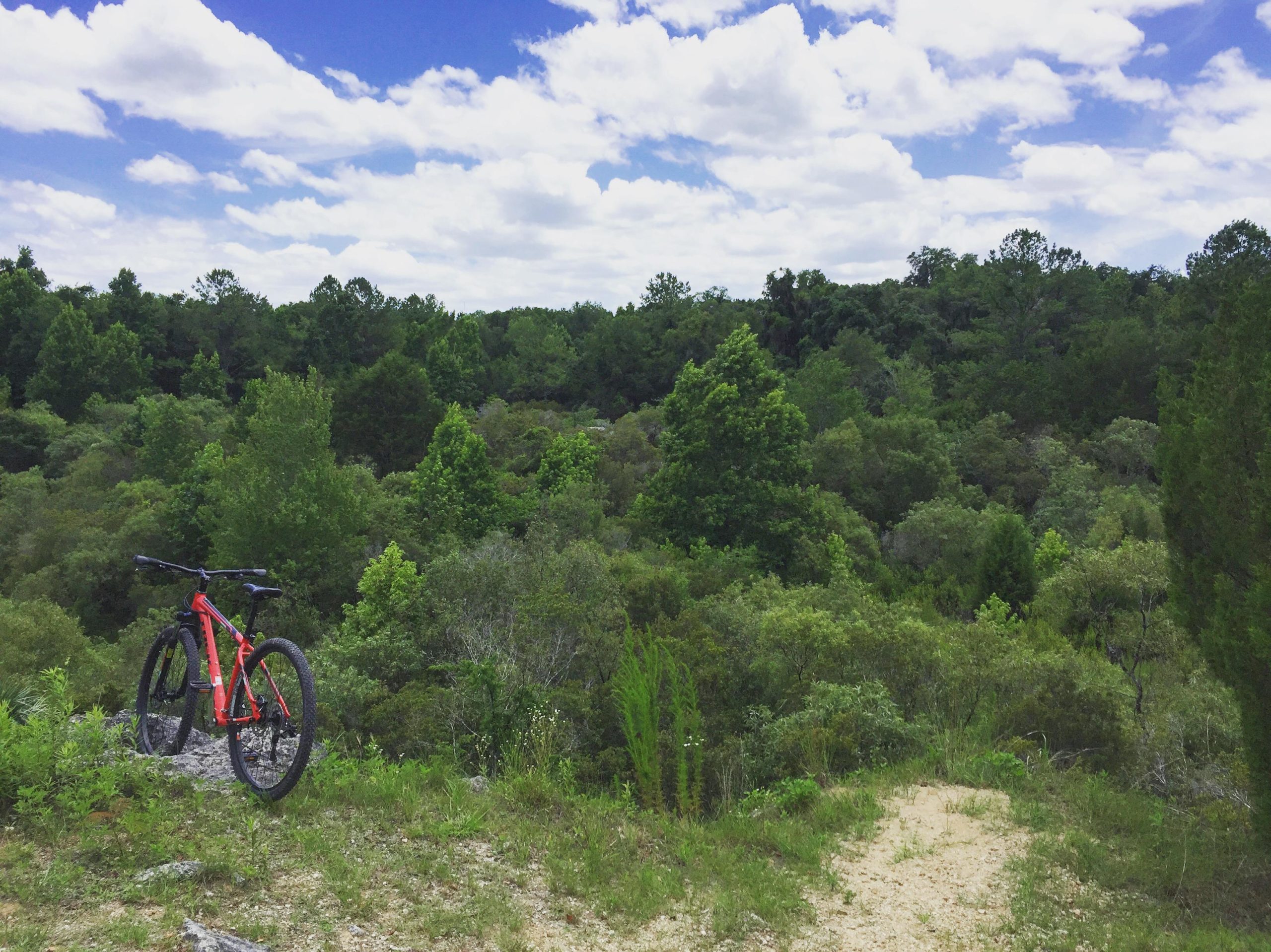 A vibrant red mountain bike parked on a rocky outcrop, overlooking a lush green forest under a blue sky with fluffy white clouds. A winding dirt path leads into the wooded area, inviting exploration. Santos mountain bike trail.