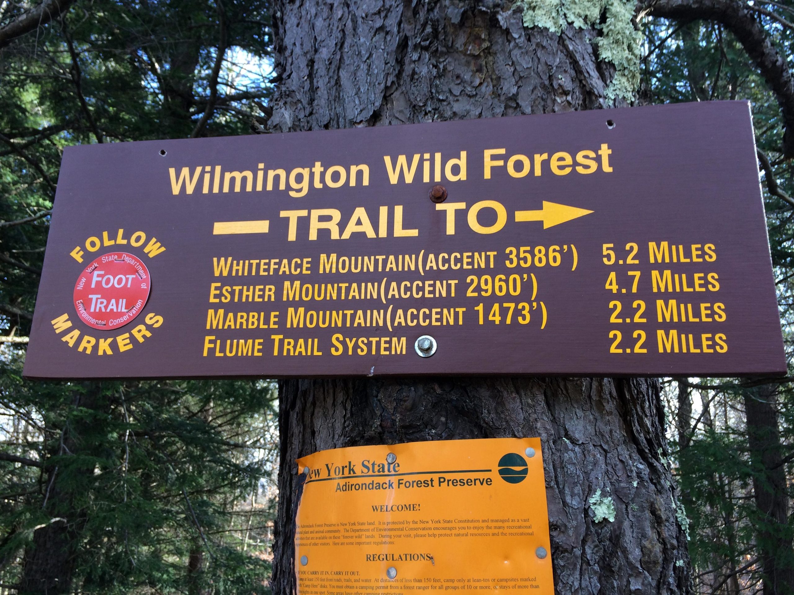 A wooden trail sign in the Wilmington Wild Forest, listing distances to hiking destinations: Whiteface Mountain (5.2 miles), Esther Mountain (4.7 miles), Marble Mountain (2.2 miles), and the Flume Trail System (2.2 miles). A circular sticker reads "Follow Foot Trail Markers." In the background, tall trees can be seen, indicating a forested area. Flume Trails mountain bike trail.