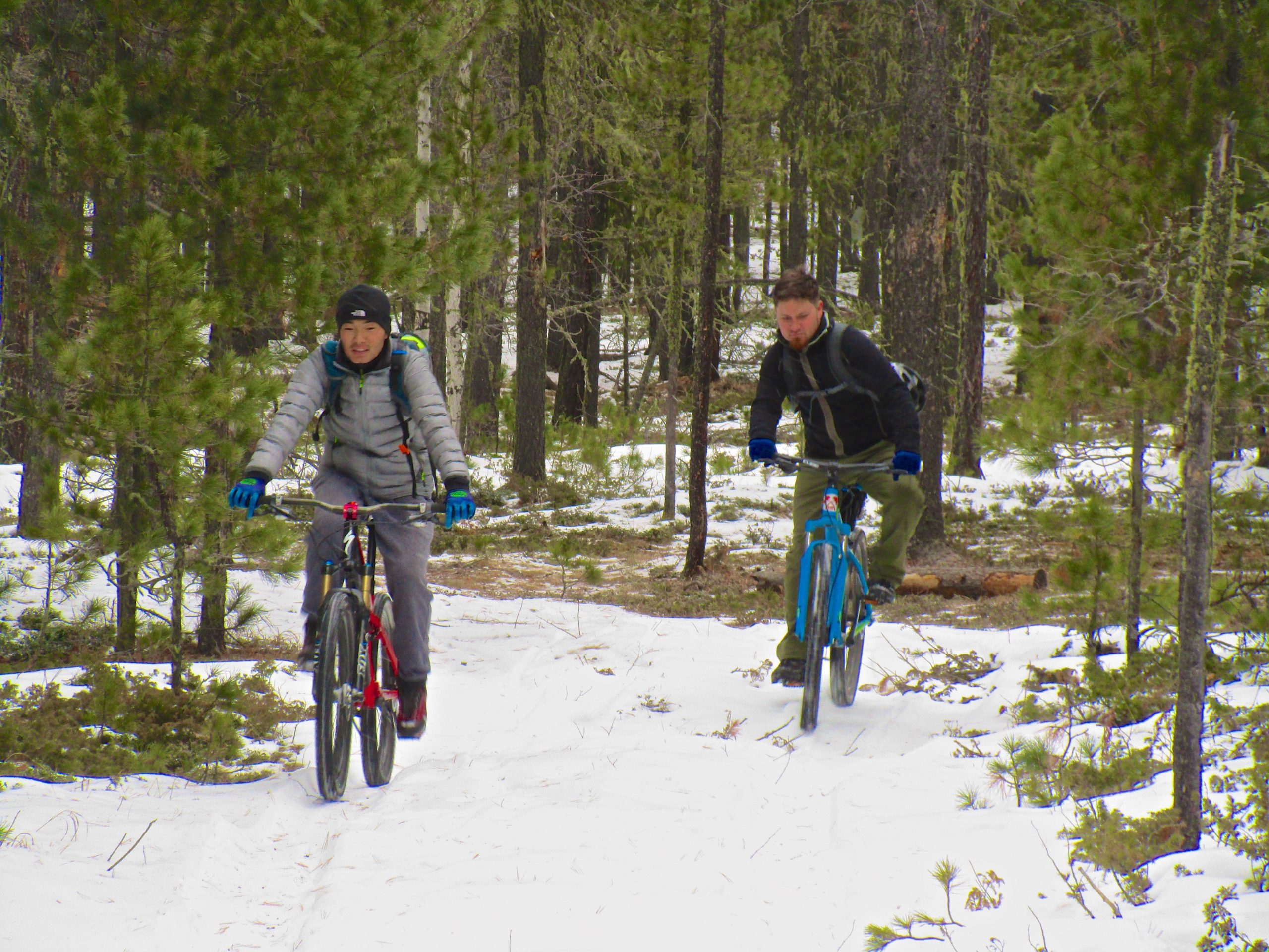 Two cyclists riding mountain bikes on a snow-covered trail in a forest. One rider is wearing a gray jacket and gloves, and the other is dressed in dark clothing with a backpack. Tall green trees surround the path, creating a serene outdoor atmosphere. Shargamorit Khandgait Hills East mountain bike trail.