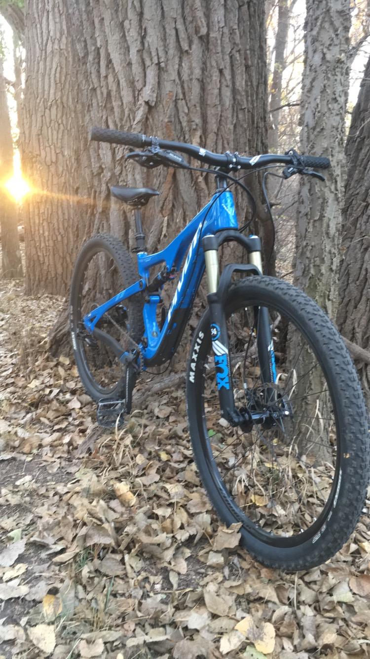 Pivot Mach 429 Carbon: A blue mountain bike leaning against a tree trunk in a forest setting, with the sun setting in the background. The ground is covered with fallen leaves.