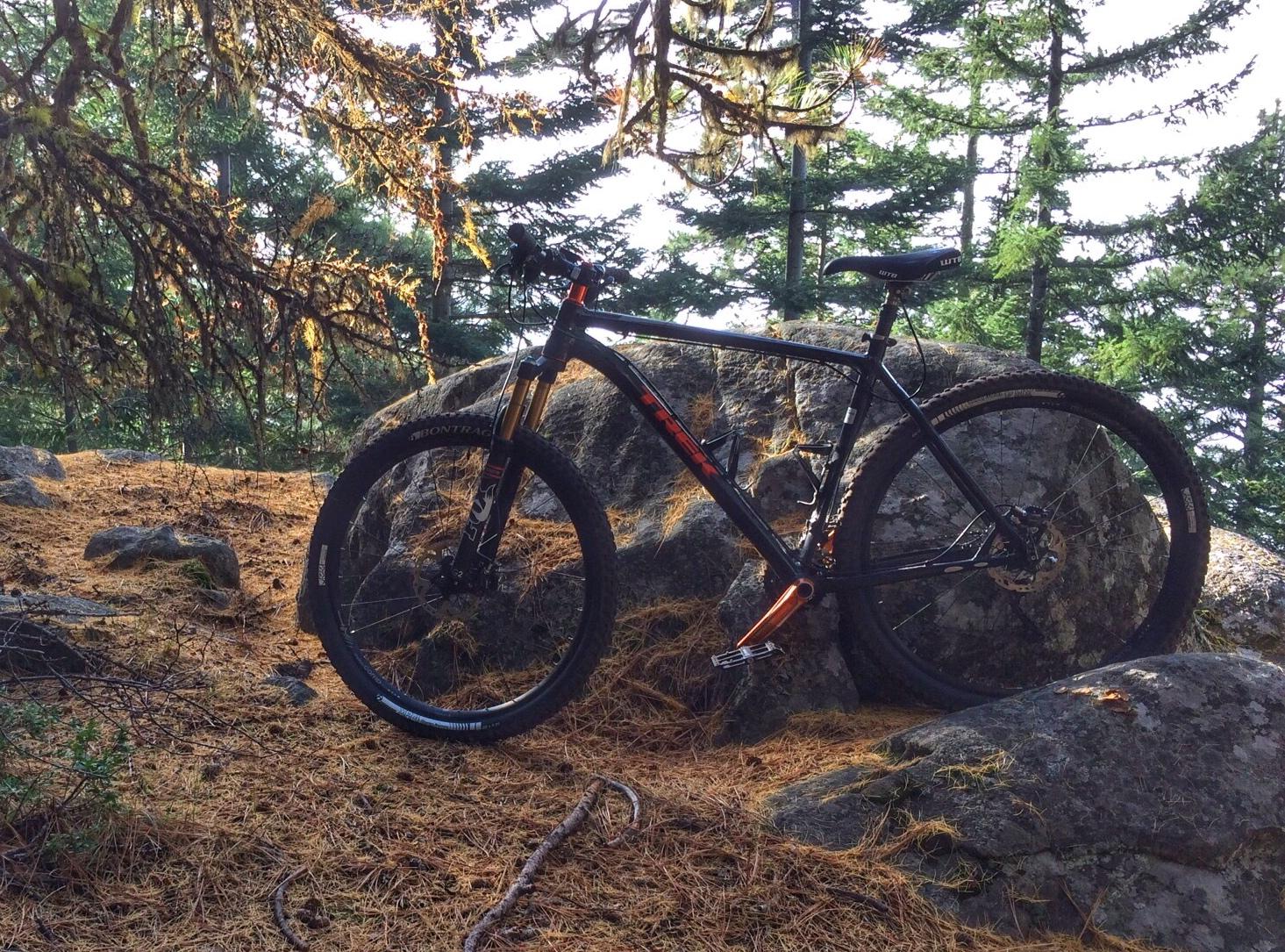 Trek Stache 8: A mountain bike leaning against a large rock in a forested area, surrounded by pine needles and trees. The sunlight filters through the branches, casting a warm glow on the scene.