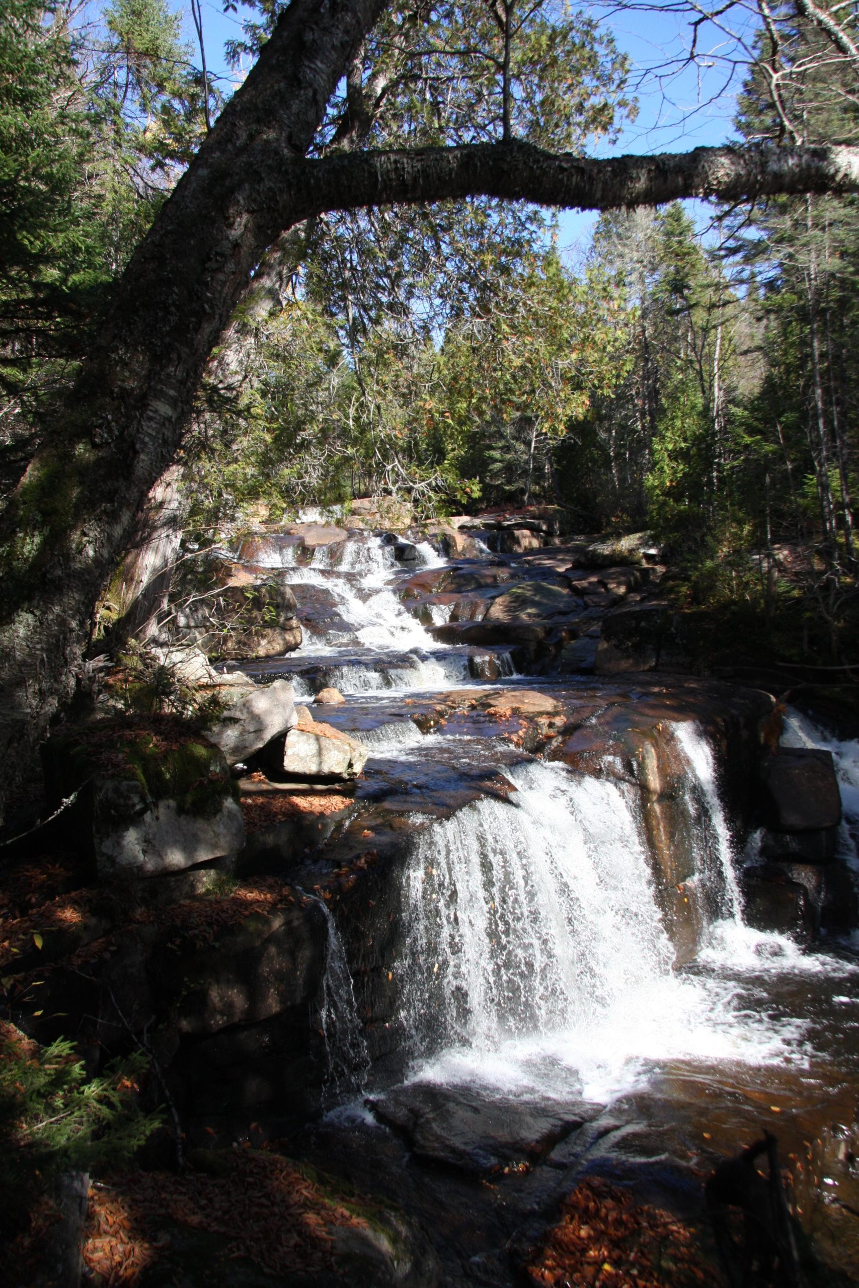 A serene waterfall cascading over smooth rocks, surrounded by lush green trees and foliage under a clear blue sky. Sunlight filters through the leaves, creating a tranquil and picturesque natural scene. Vallee Bras Du Nord Secteur Shannahan mountain bike trail.