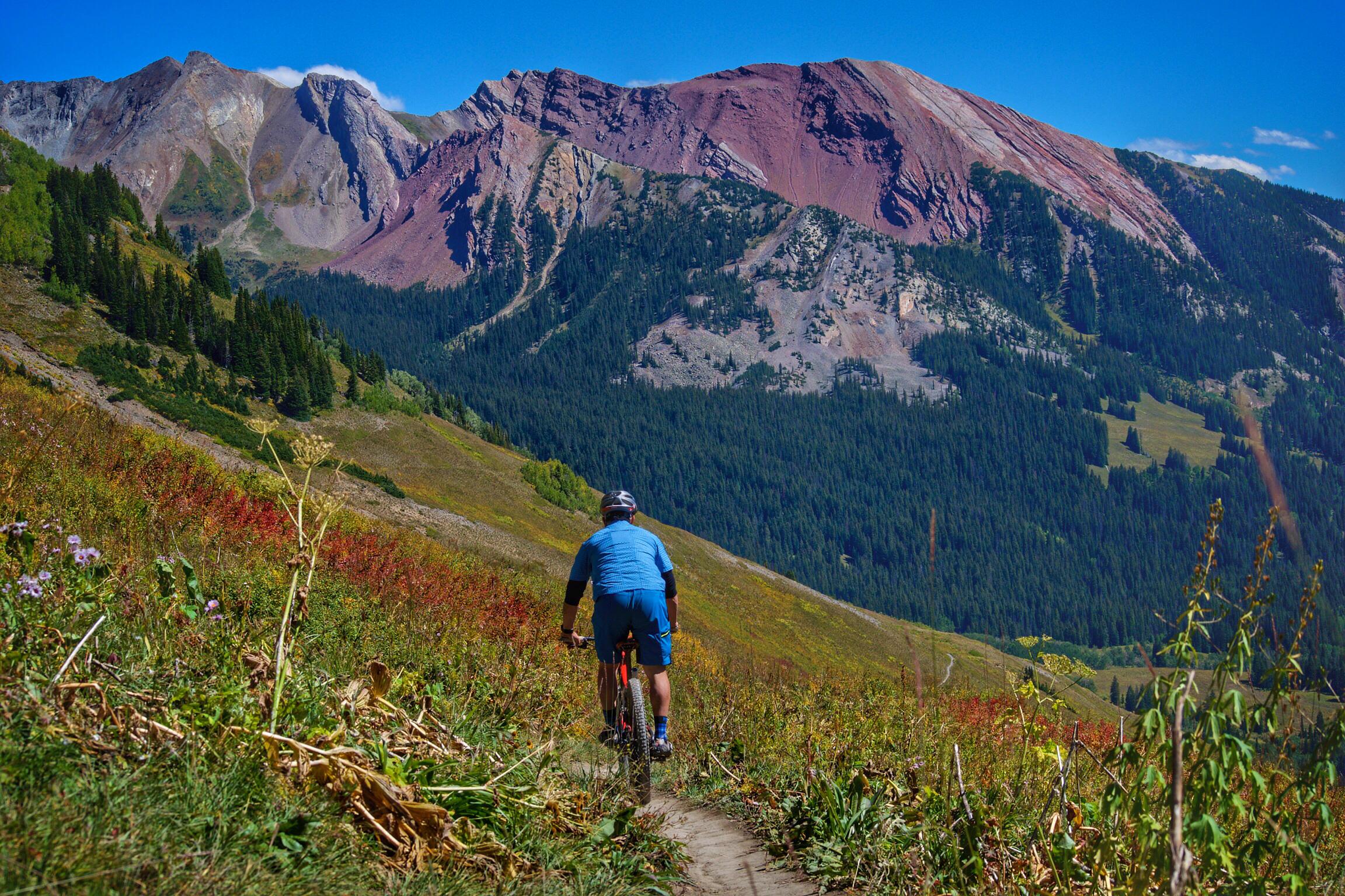A mountain biker riding along a narrow dirt trail in a vibrant, colorful landscape, surrounded by lush greenery and wildflowers, with majestic mountains in the background under a clear blue sky. Trail 401 mountain bike trail.