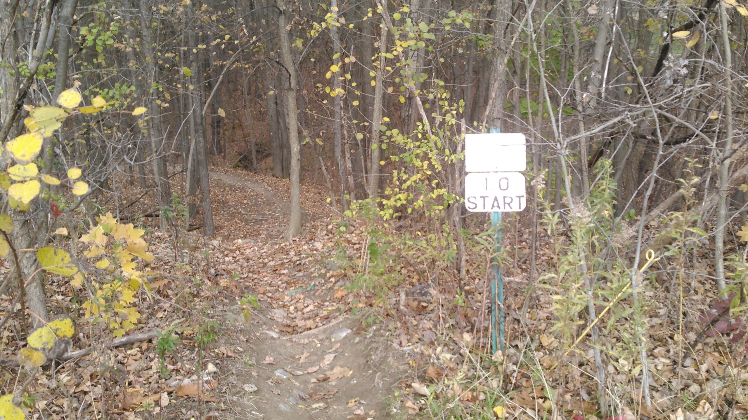 A winding dirt path through a forest during autumn, lined with fallen leaves and trees. A sign on the right reads "1.0 START," indicating the beginning of a trail or pathway. Colonie Town Park/Ridge Trail mountain bike trail.