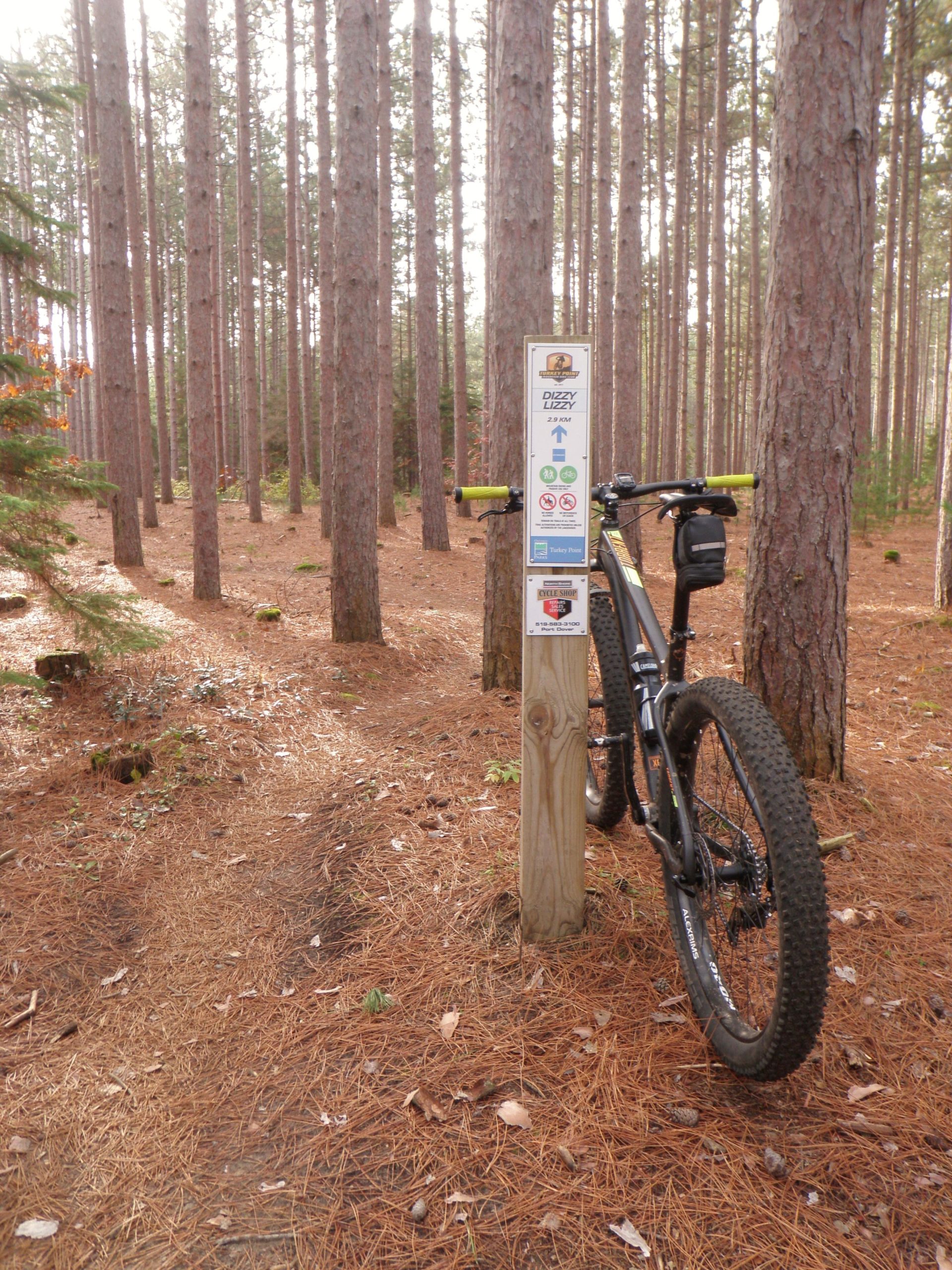 A mountain bike is leaning against a trail marker in a dense pine forest. The ground is covered with orange pine needles, and tall trees stretch into the background. The marker displays the trail name "Dizzy Lizzy" and includes several symbols related to trail use and guidelines. Turkey Point Provincial Park mountain bike trail.