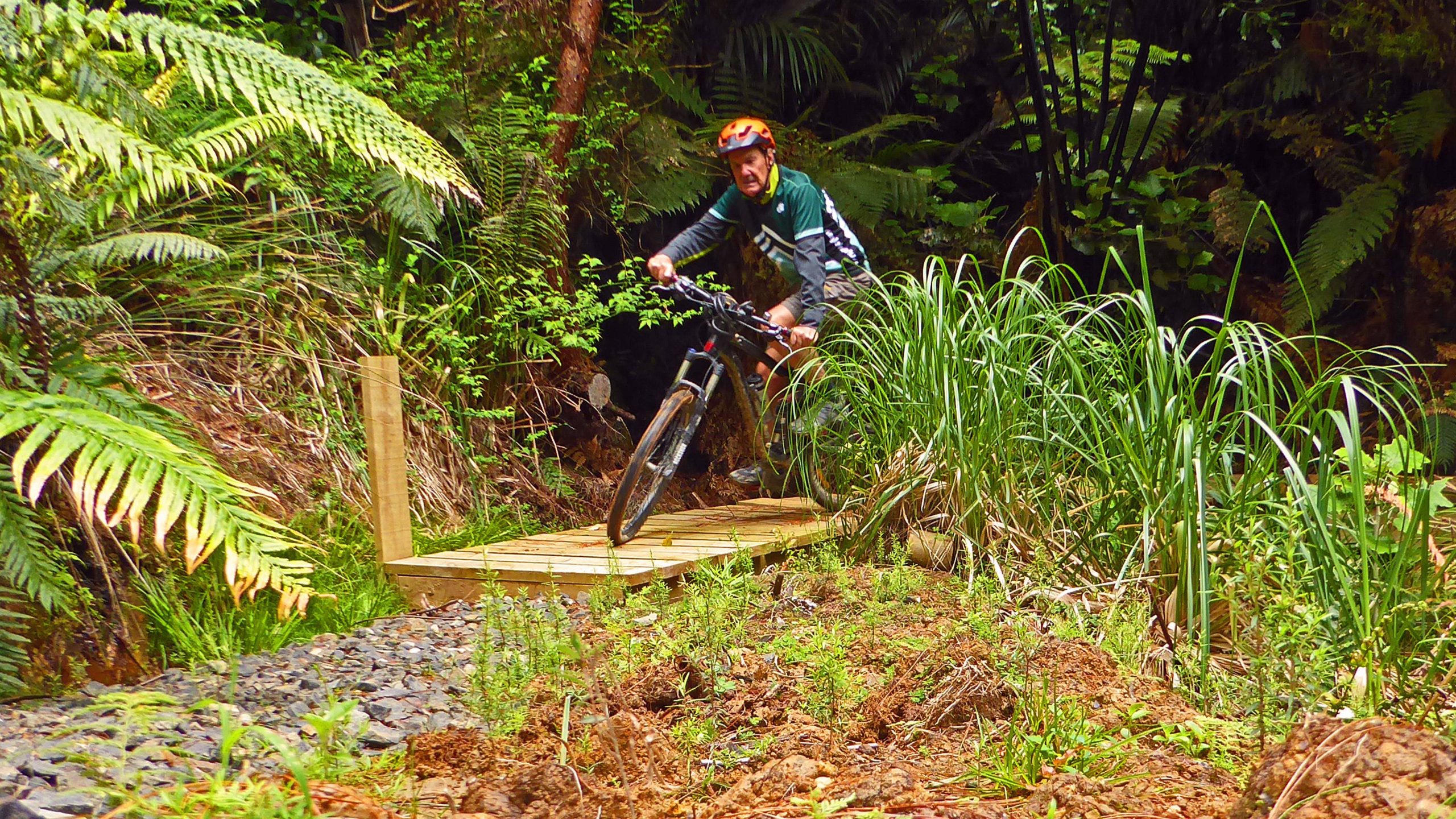 A mountain biker navigating a wooden bridge surrounded by lush greenery and ferns in an outdoor trail setting. The rider is focused and wearing a helmet, showcasing an active adventure in nature. Hotoritori mountain bike trails mountain bike trail.