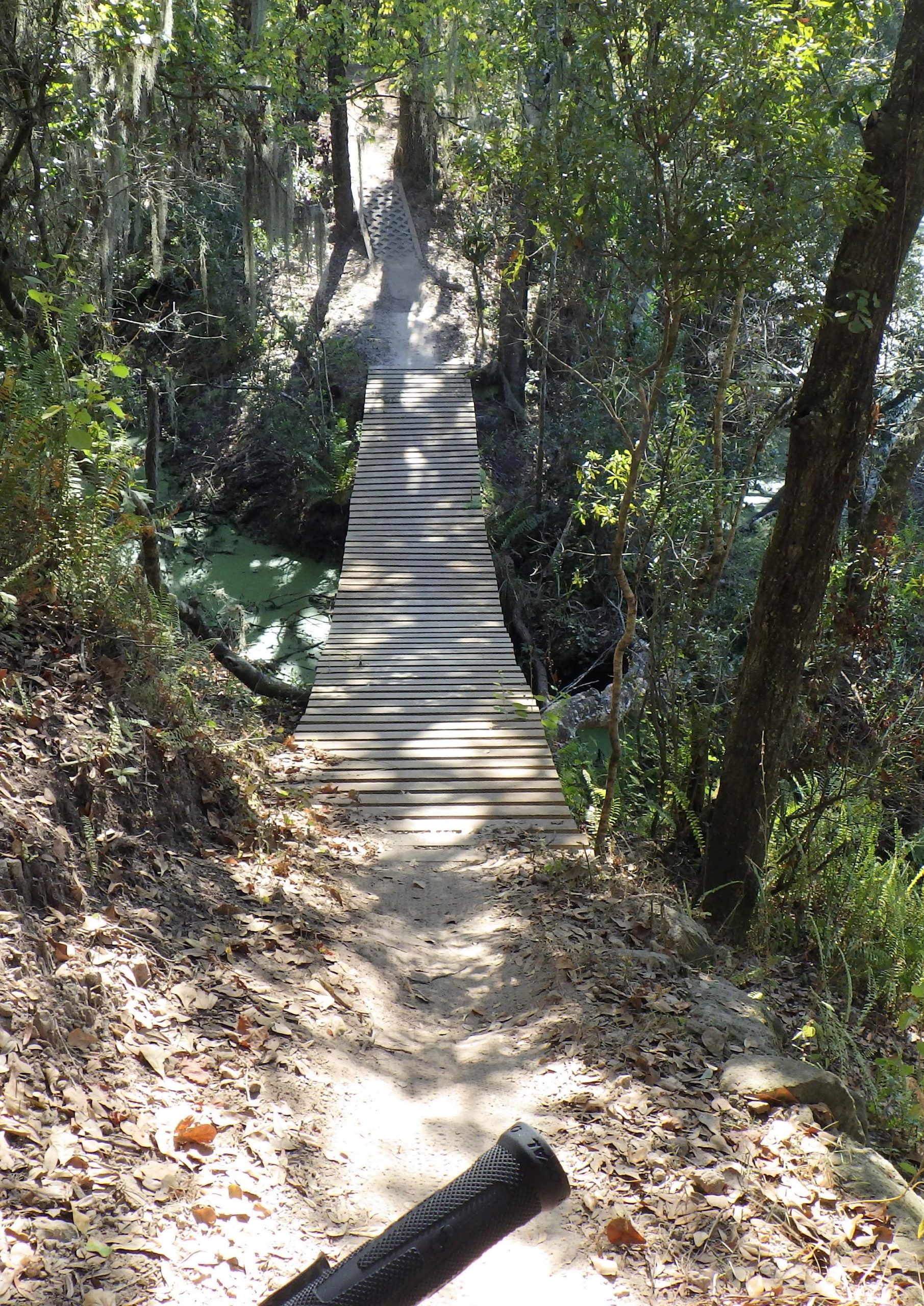 A narrow wooden bridge spans a small creek, surrounded by lush greenery and dappled sunlight filtering through the trees. The path leading down to the bridge is lined with fallen leaves, creating a serene, natural setting. Alafia River State Park mountain bike trail.
