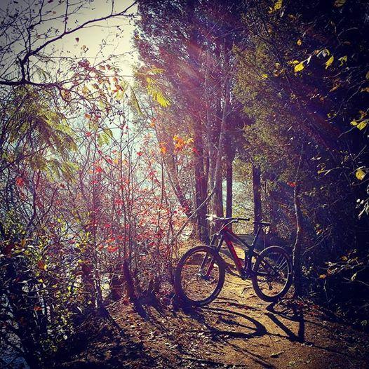 A mountain bike is positioned on a dirt path surrounded by trees and autumn foliage, with soft sunlight filtering through the branches, creating a tranquil outdoor scene. Haw Ridge Park mountain bike trail.