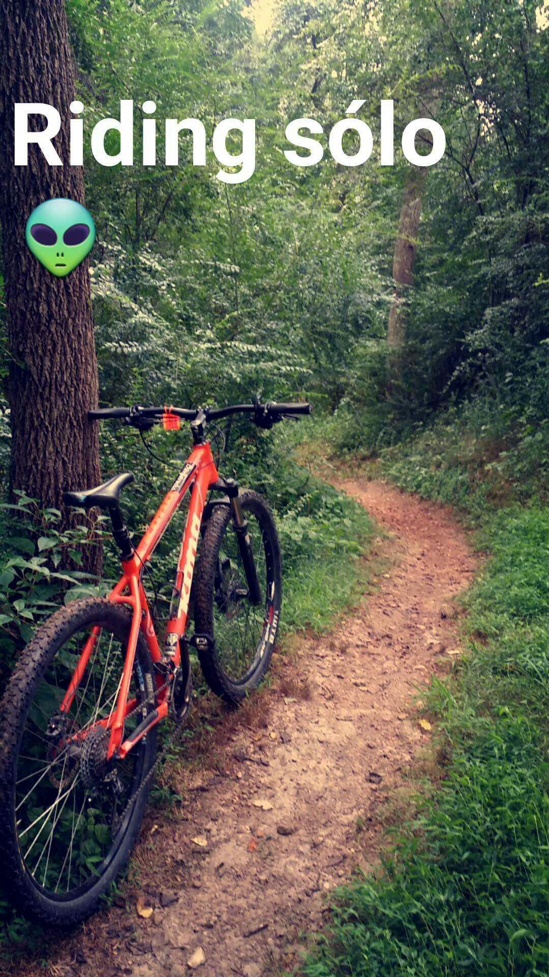 Kona Kahuna: Alt text: A bright orange mountain bike is leaning against a tree along a winding dirt path surrounded by lush green foliage in a forested area. The text "Riding sólo" and an alien emoji appear at the top of the image.