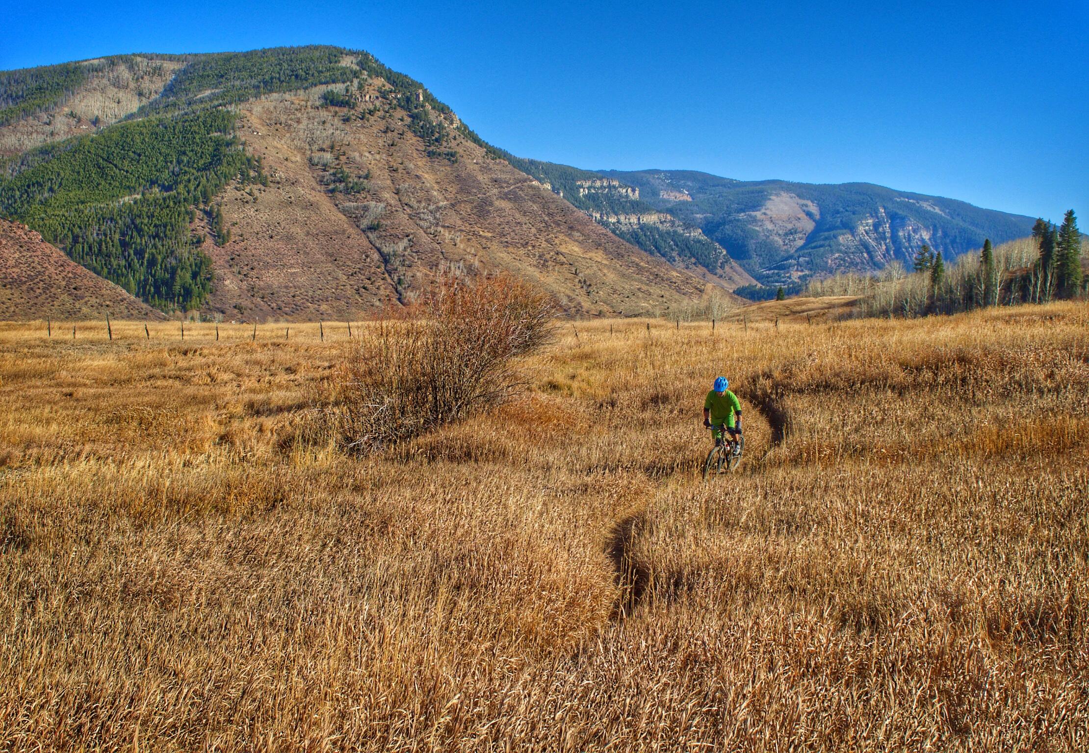 A cyclist rides along a narrow trail through golden grasslands, surrounded by rolling hills and distant mountains under a bright blue sky. Meadow Mountain mountain bike trail.