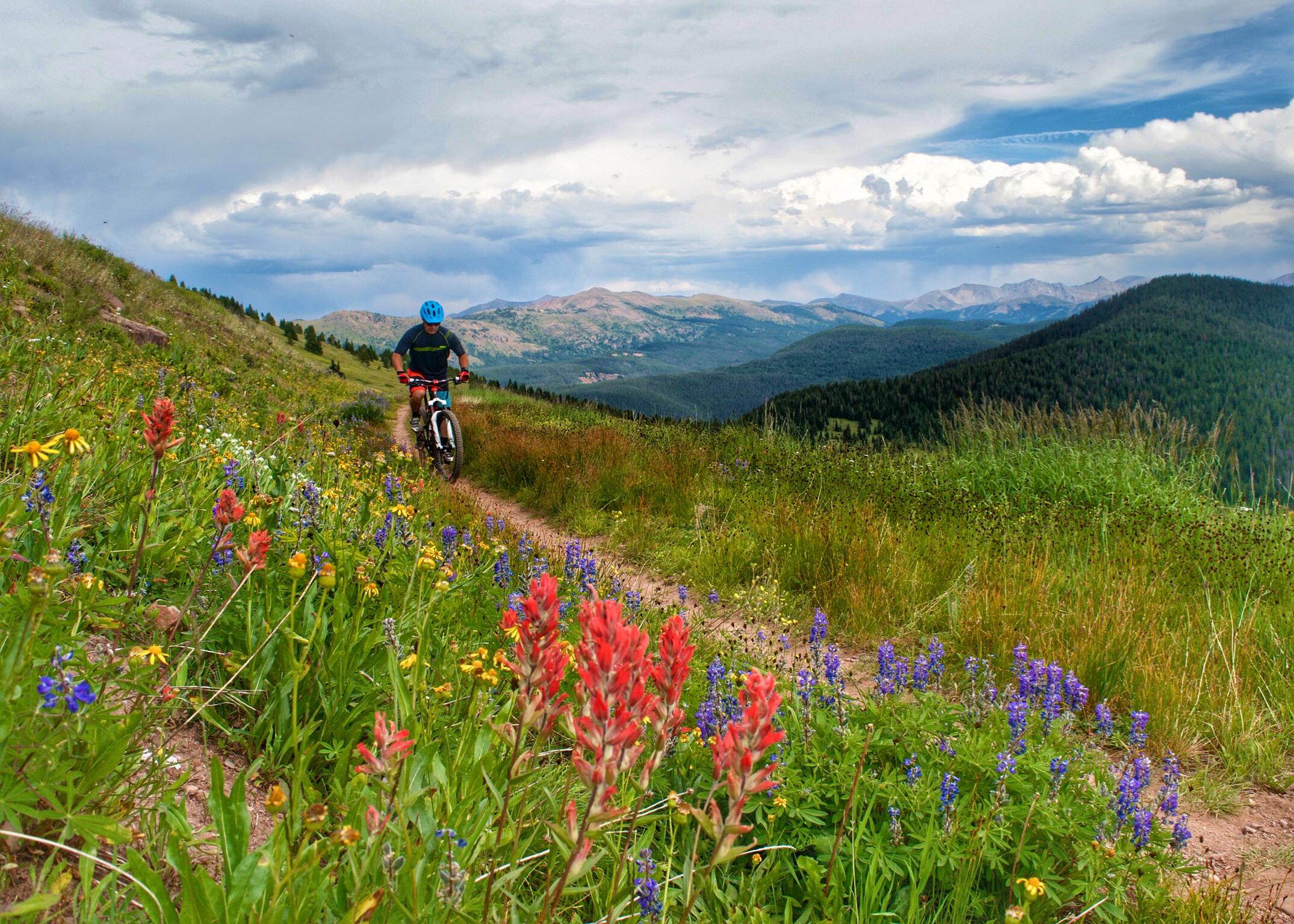 A mountain biker rides along a dirt path surrounded by vibrant wildflowers, with lush green hills and mountains in the background under a partly cloudy sky. Vail Mountain Bike Park mountain bike trail.