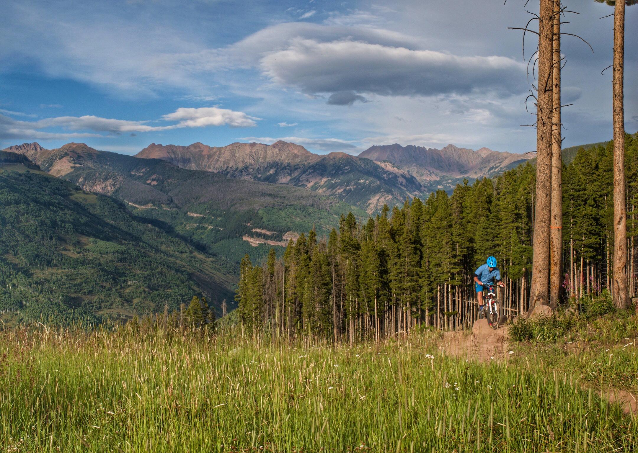 A mountain biker in a blue helmet and shirt rides along a dirt path surrounded by tall pine trees, with a stunning backdrop of mountains and a clear blue sky. Lush green grass and wildflowers are visible in the foreground, indicating a beautiful summer day in a mountainous area. Vail Mountain Bike Park mountain bike trail.