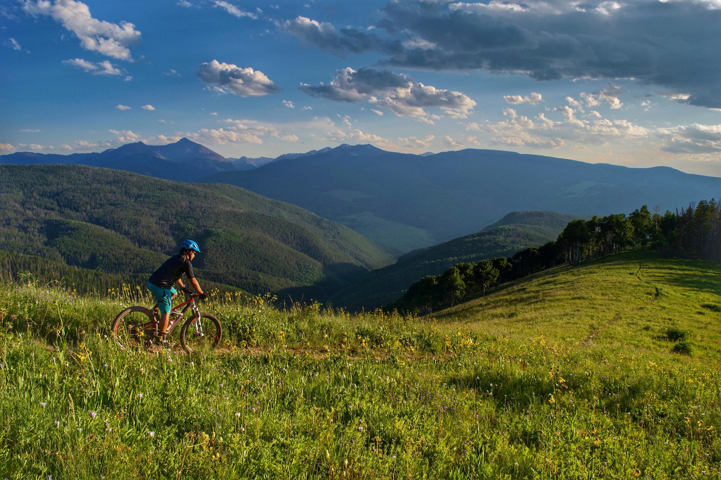 A person riding a mountain bike along a grassy trail, surrounded by vibrant wildflowers and scenic mountain views under a partly cloudy sky. Vail Mountain Bike Park mountain bike trail.